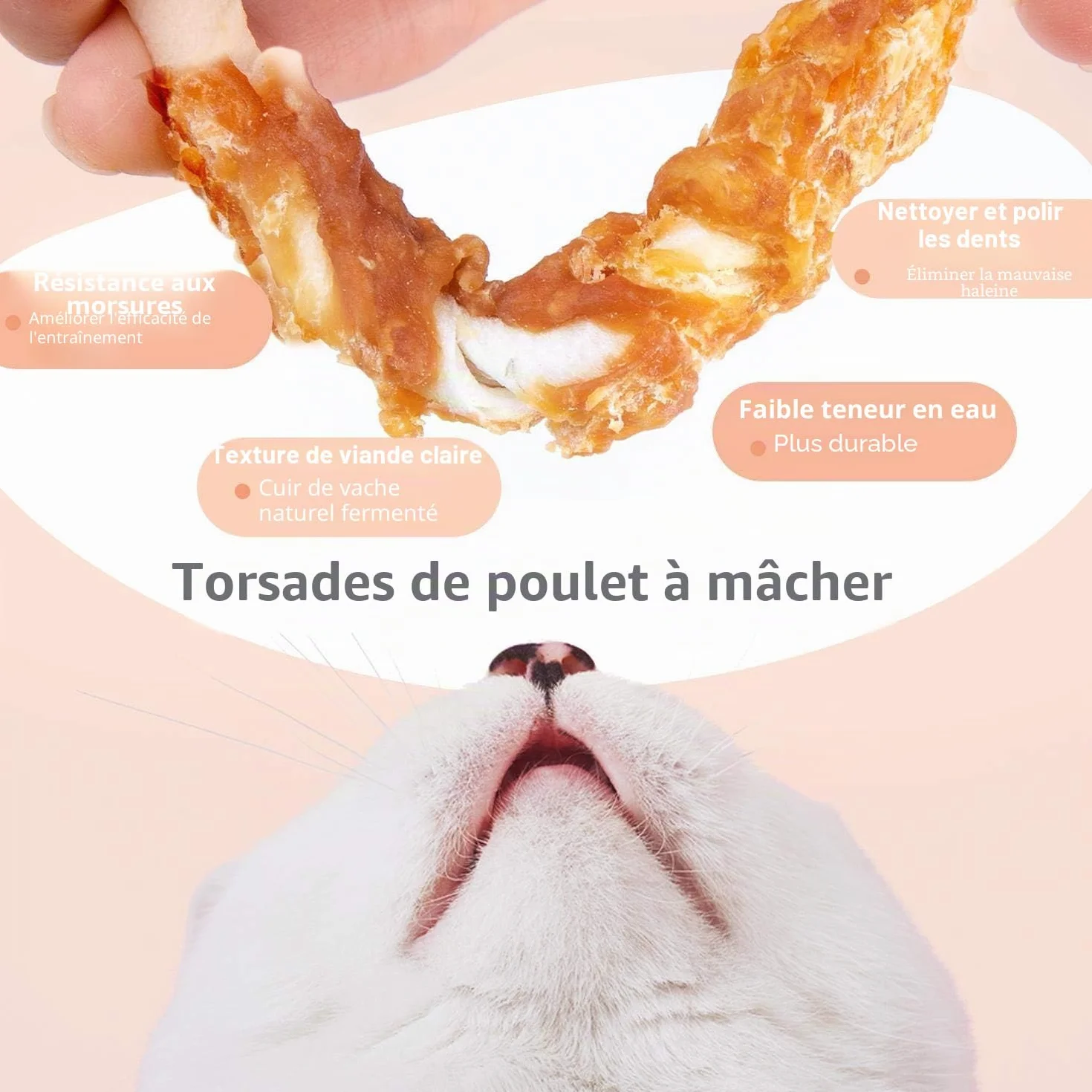 Friandise pour Chien Poulet Stick Enrobé 100g Naturelles Riches en Protéines Lot de 6