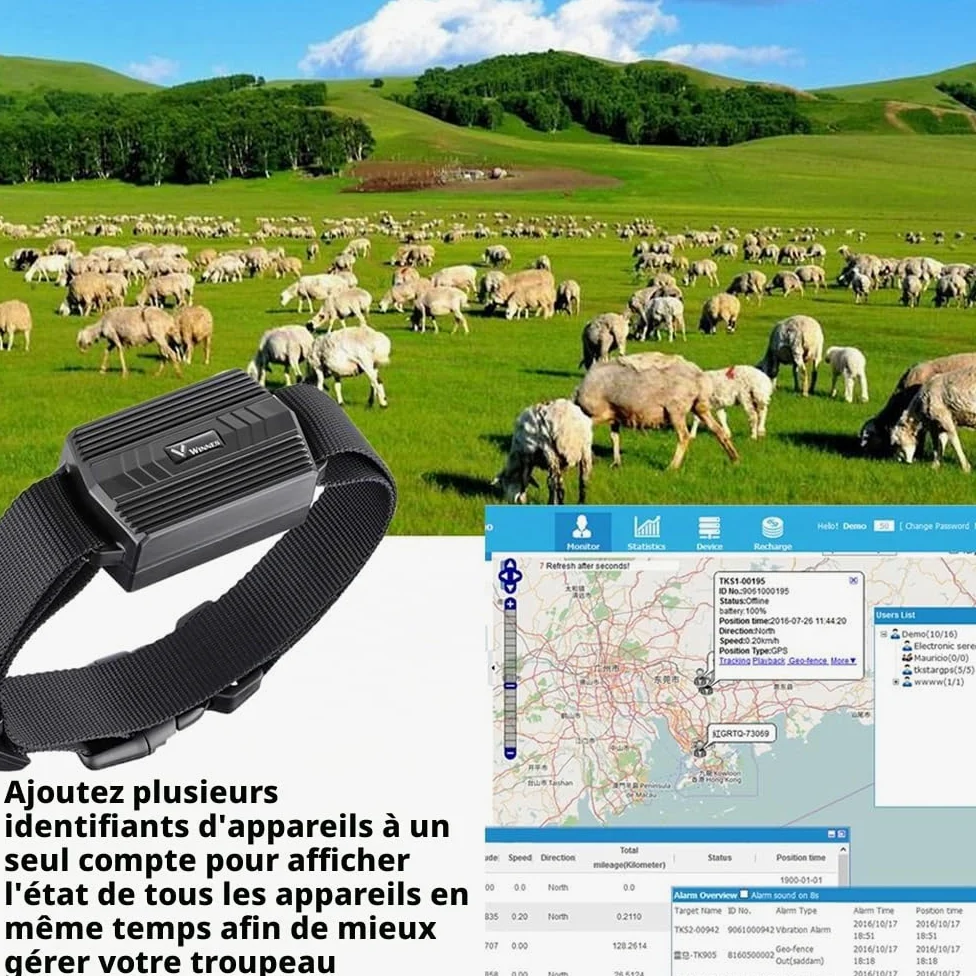 TKMARS Traceur GPS 4G pour Grands Animaux (Chiens de Chasse, Chevaux, Bétail) | Collier GPS Étanche IP66 | Suivi en Temps Réel et Historique | Autonomie 30 Jours | Alerte Geo-Clôture TK935