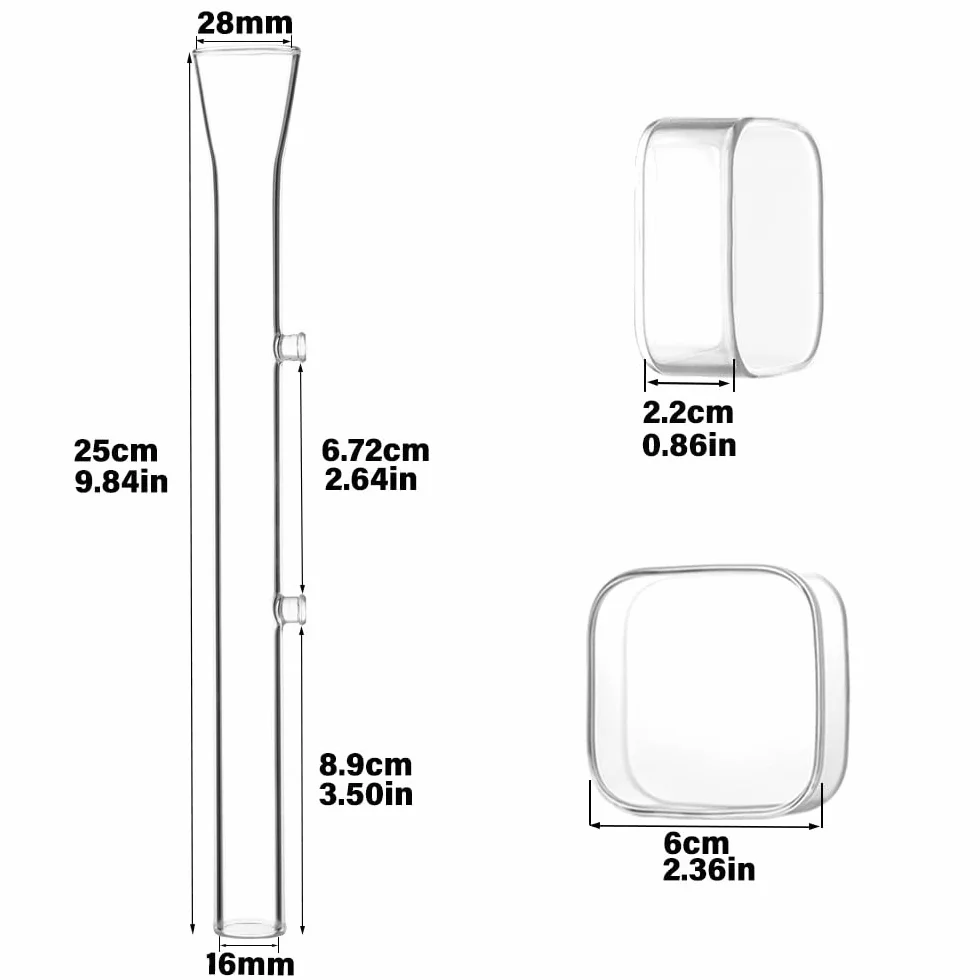 LINLAN Mangeoire à crevettes en verre 25 cm, tube d'alimentation, bol carré, ventouses