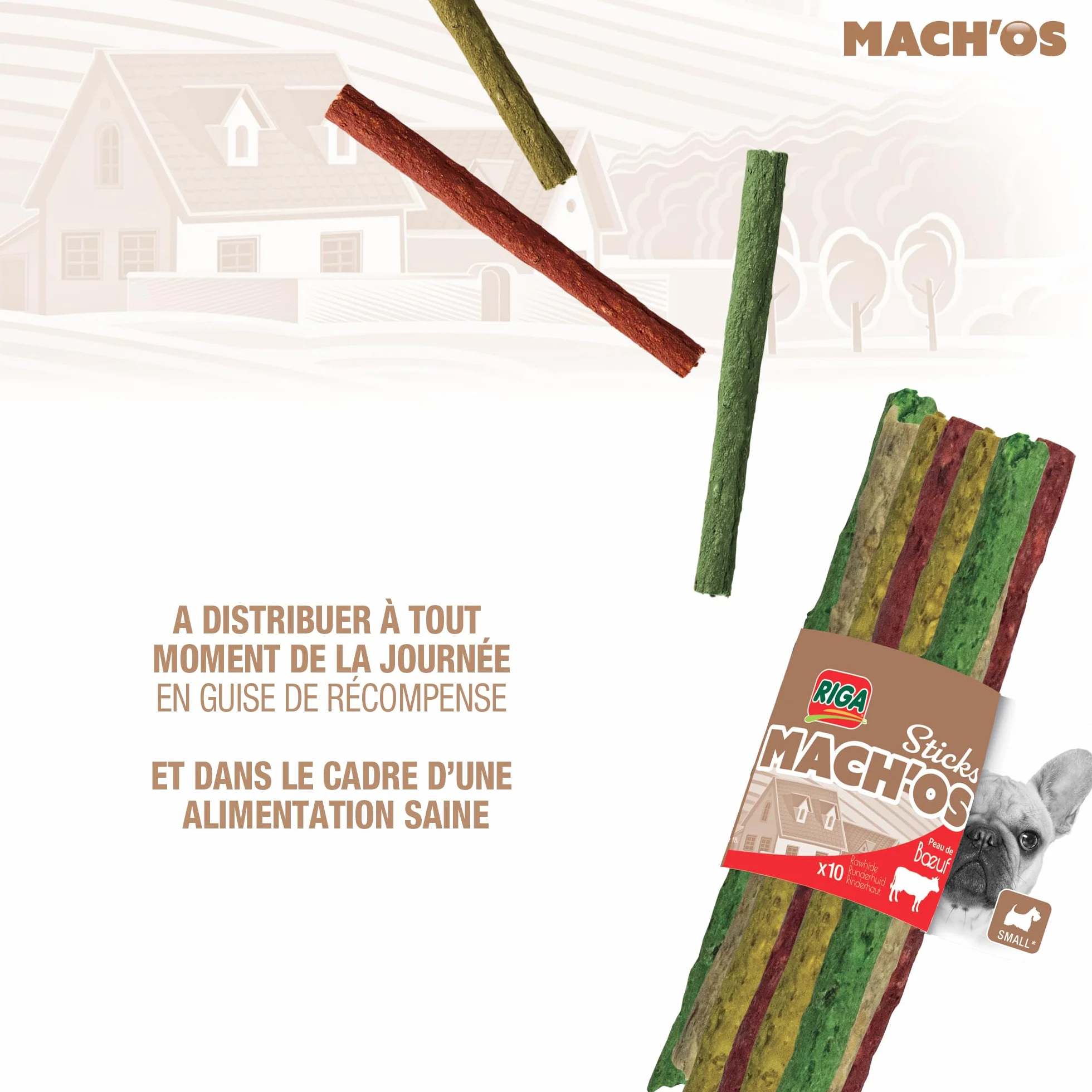RIGA - Mach'os - Bâtonnet Aggloméré - Friandise Chien - Peau De Buffle - Riche en Protéines - Hygiène Buccale - Mastication Et Récompense - pour Petit Chien - x 10