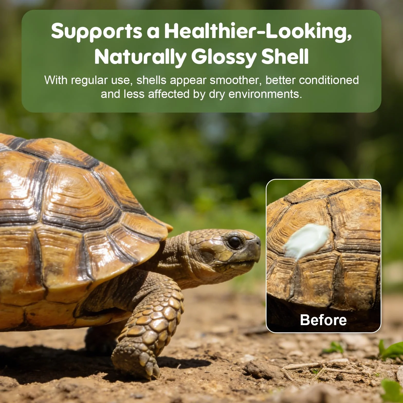 Baume hydratant pour carapace de tortue - Soin végétal 30 g