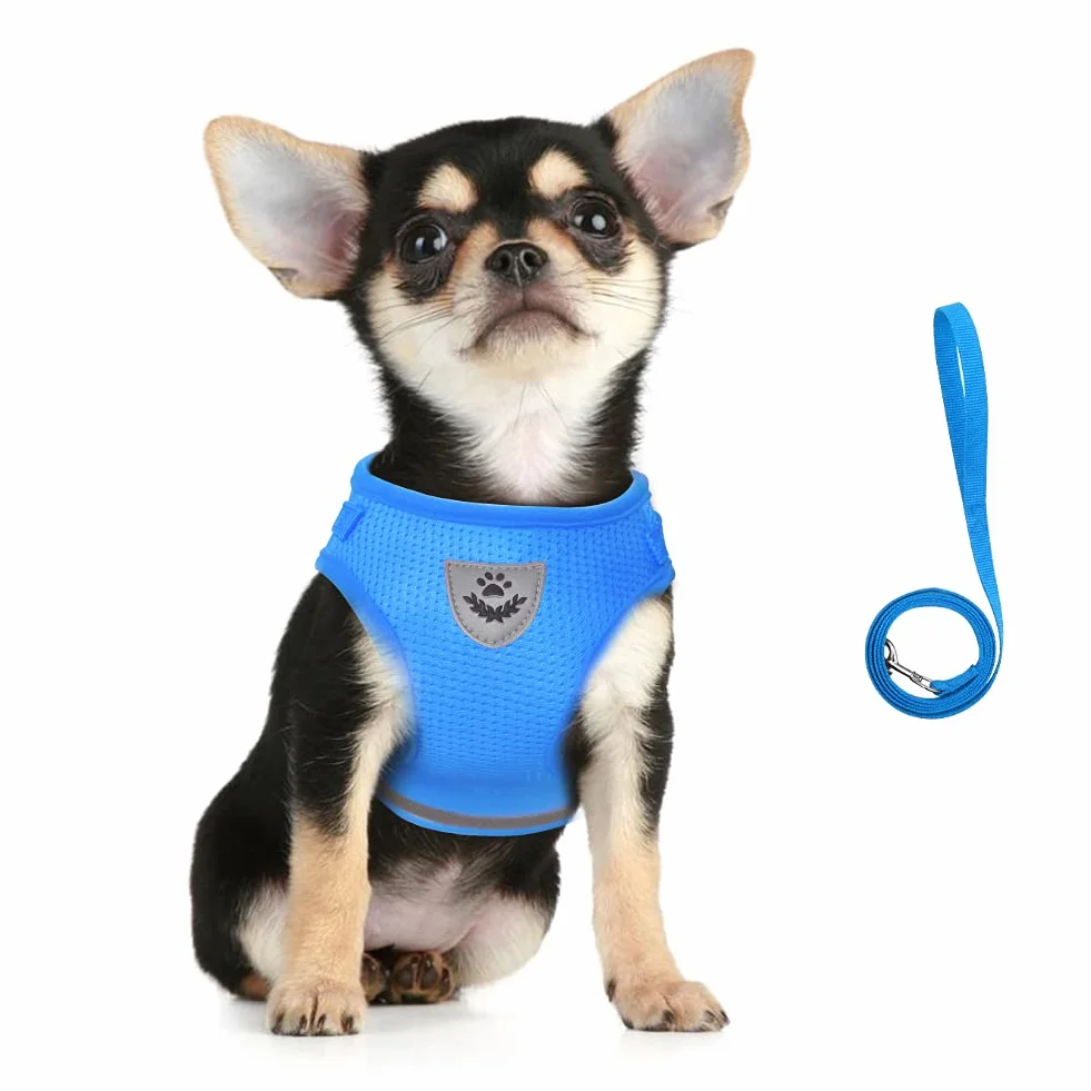 Harnais Chat Anti évasion Réglable Réfléchissant Gilet en Maille Respirant pour Petits Chiens et Chats