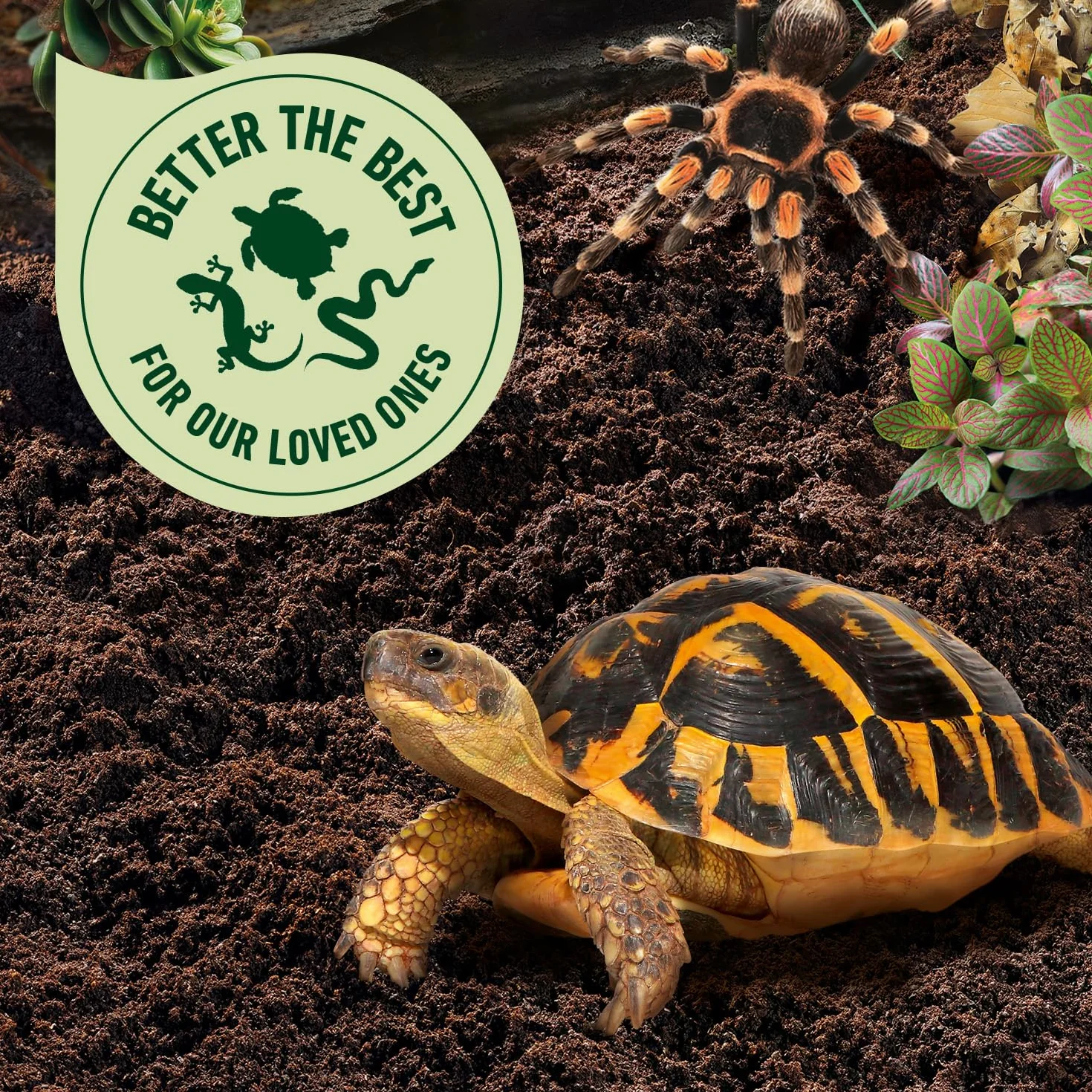 Compo Zoo Substrat pour Tortues et Terrariums 10 L