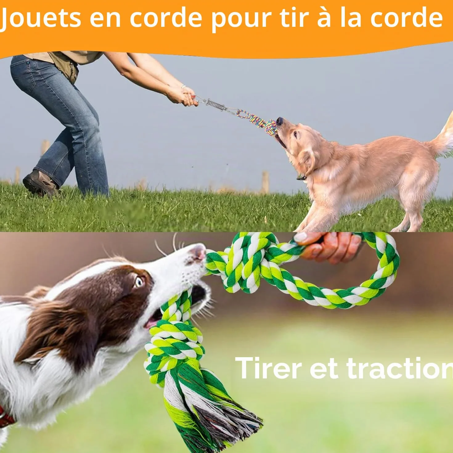 Jouet à Mâcher Chien élastique Indestructible 100% Coton Tir à la Corde