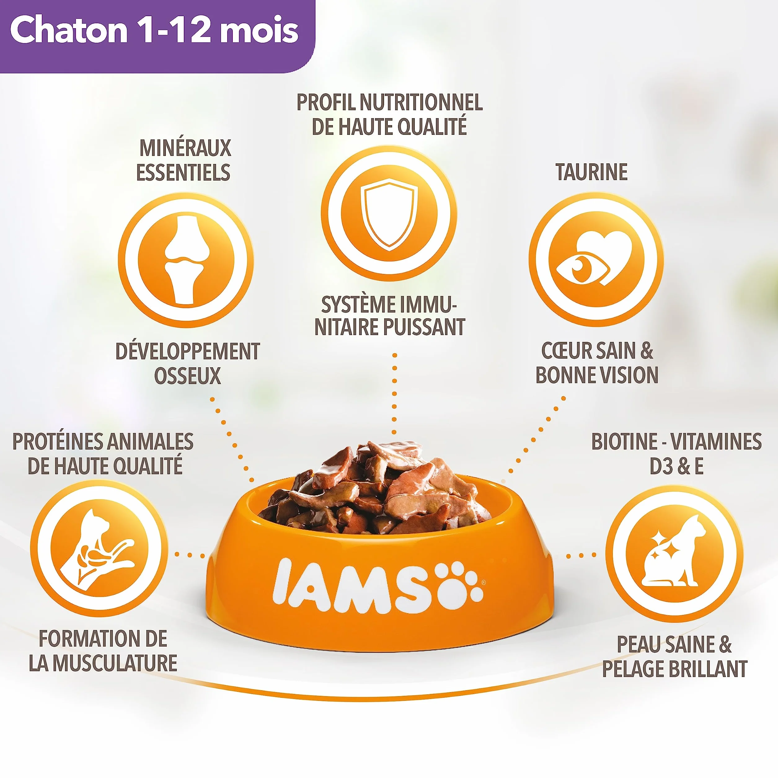 IAMS Nourriture Humide en Sauce Poulet pour Chaton 12 Sachets x 85 g