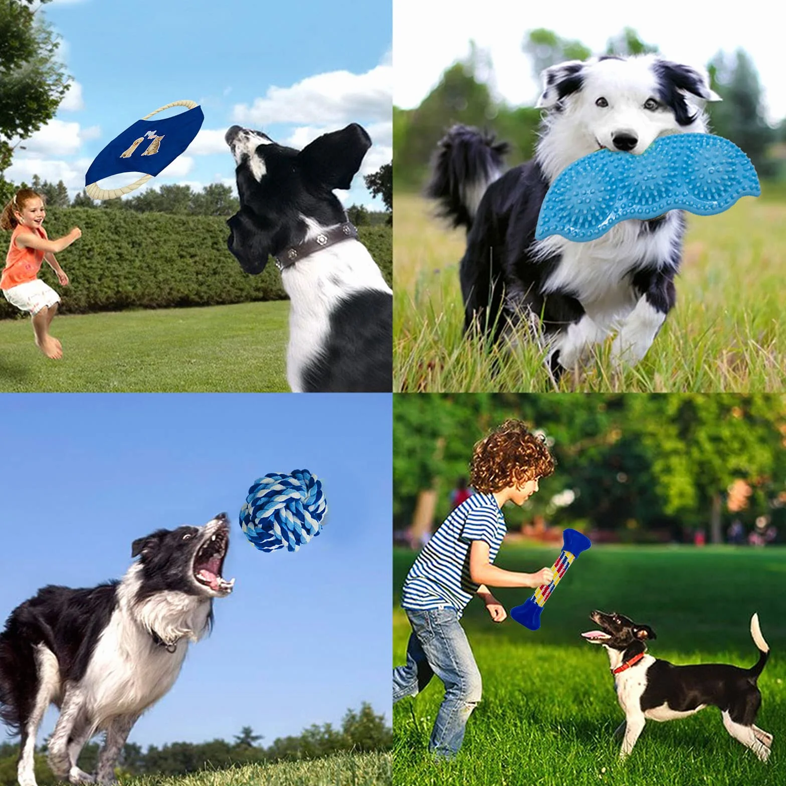 Ensemble de Jouets durables pour Chiens - Corde Jouet Solitude Petits et Moyens Chiens Cadeau Coton Naturel Non Toxique (Bleu)