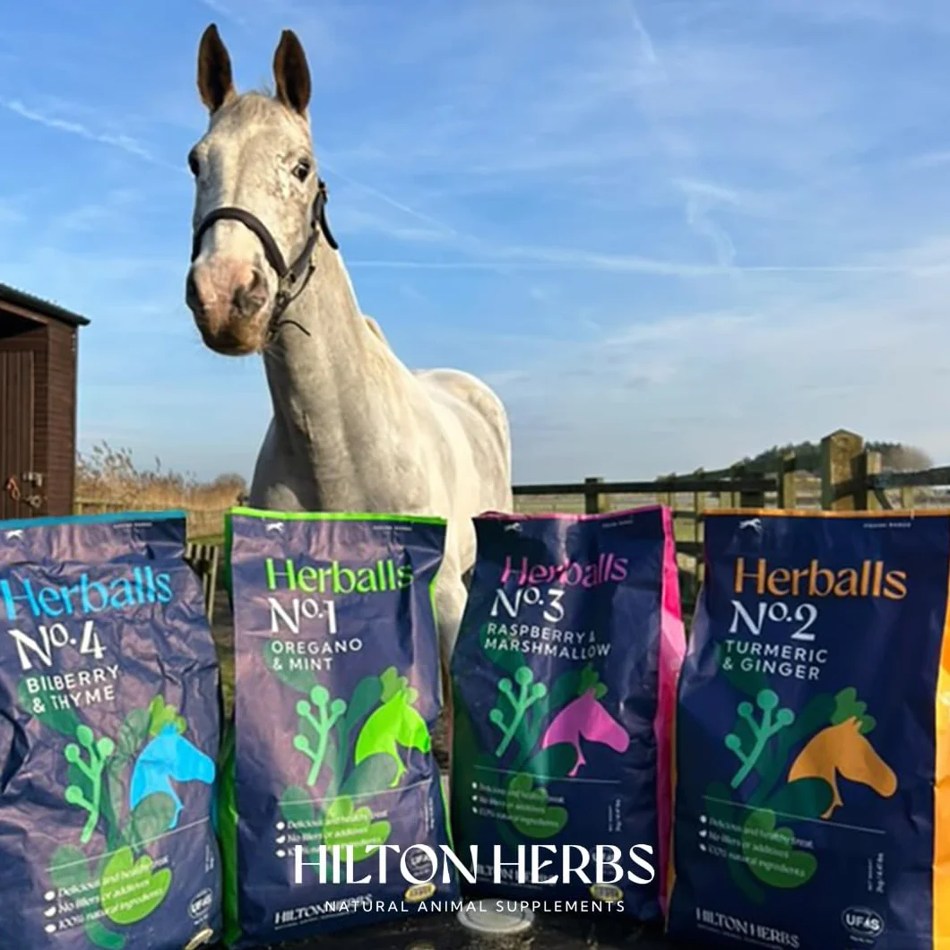 Hilton Herbs Herballs 500 g