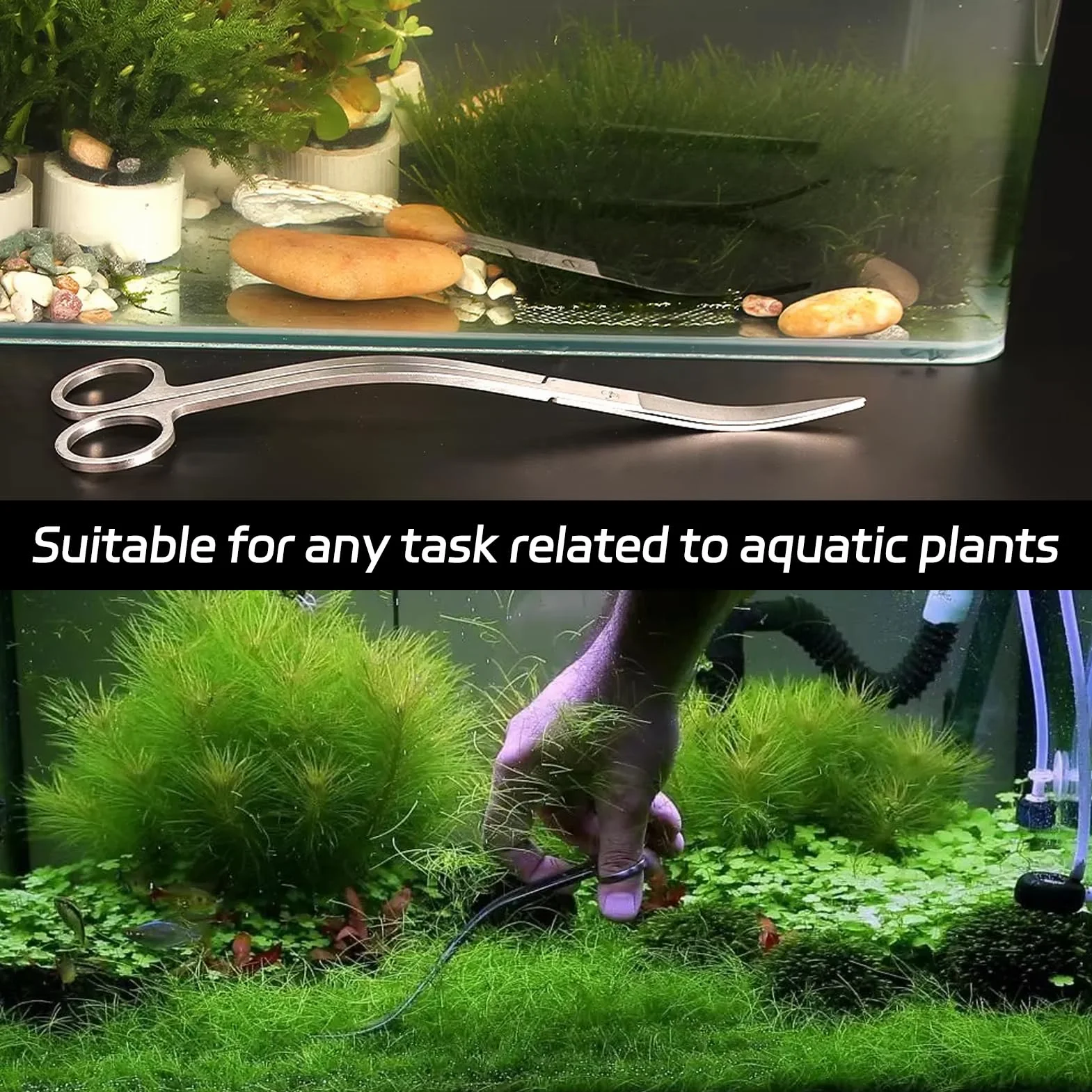 Ciseaux d'Aquarium Courbés en Acier Inoxydable 25 cm pour Aquascaping