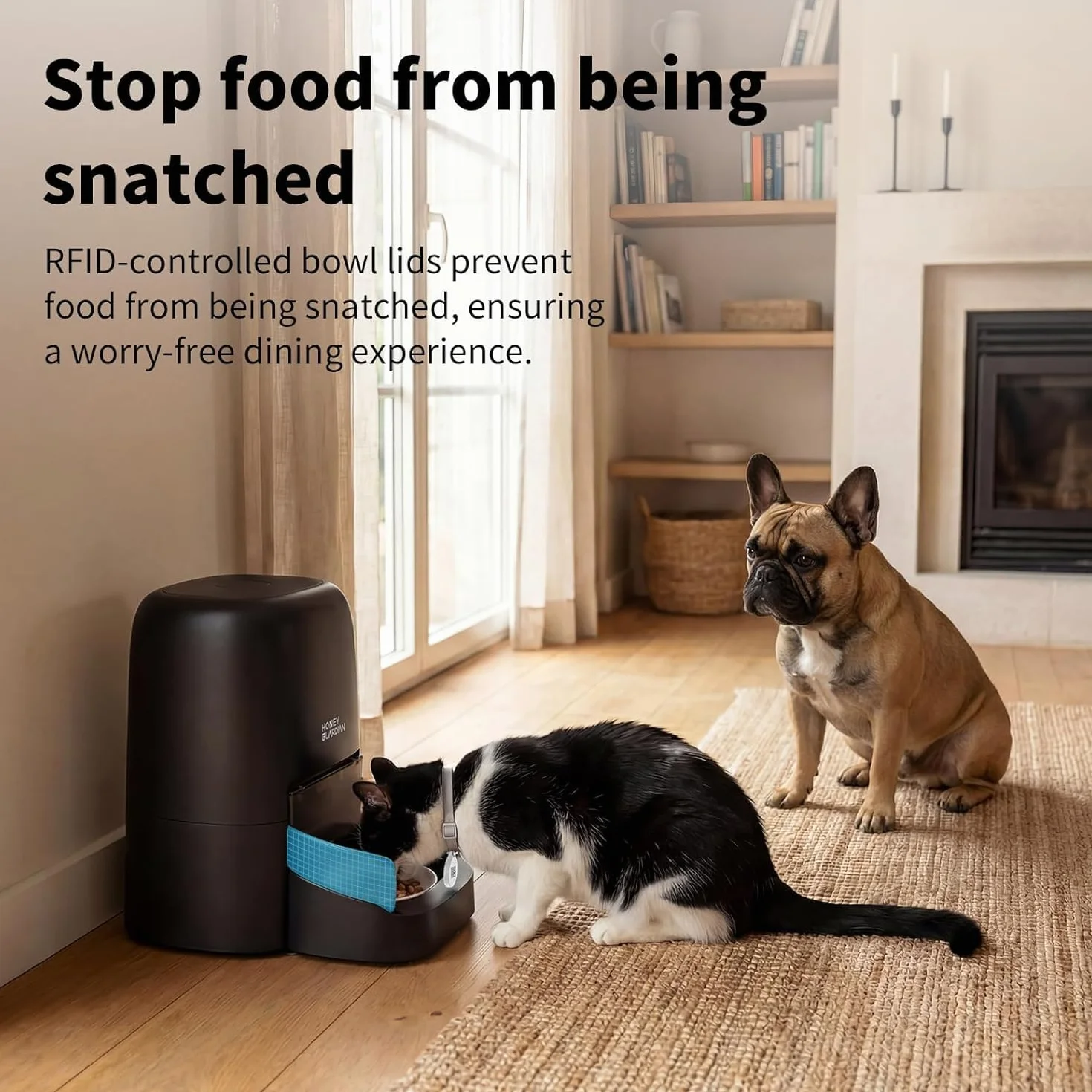 Distributeur Croquettes Chat Automatique RFID WiFi, 4.6L Bol Céramique, Reconnaissance Chat