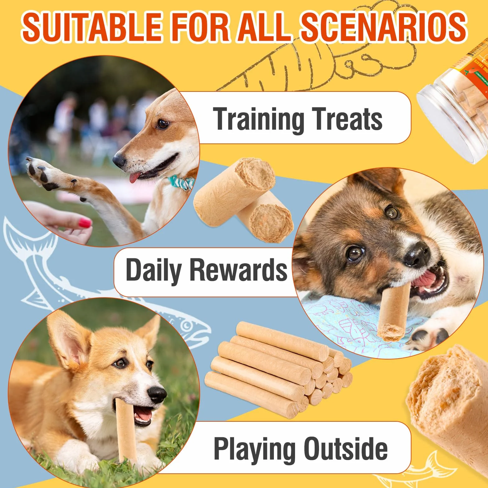 Bâtonnets De Saumon pour Chiens, Vrai Saumon Et Carottes, Facile À Digérer, Gâterie Riche en Protéines