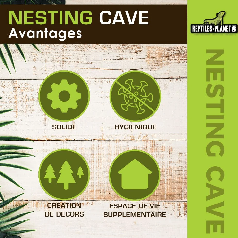 Reptiles Planet Nesting Cave M Nid de Ponte pour Gecko 12 x 10,5 x 7,7 cm