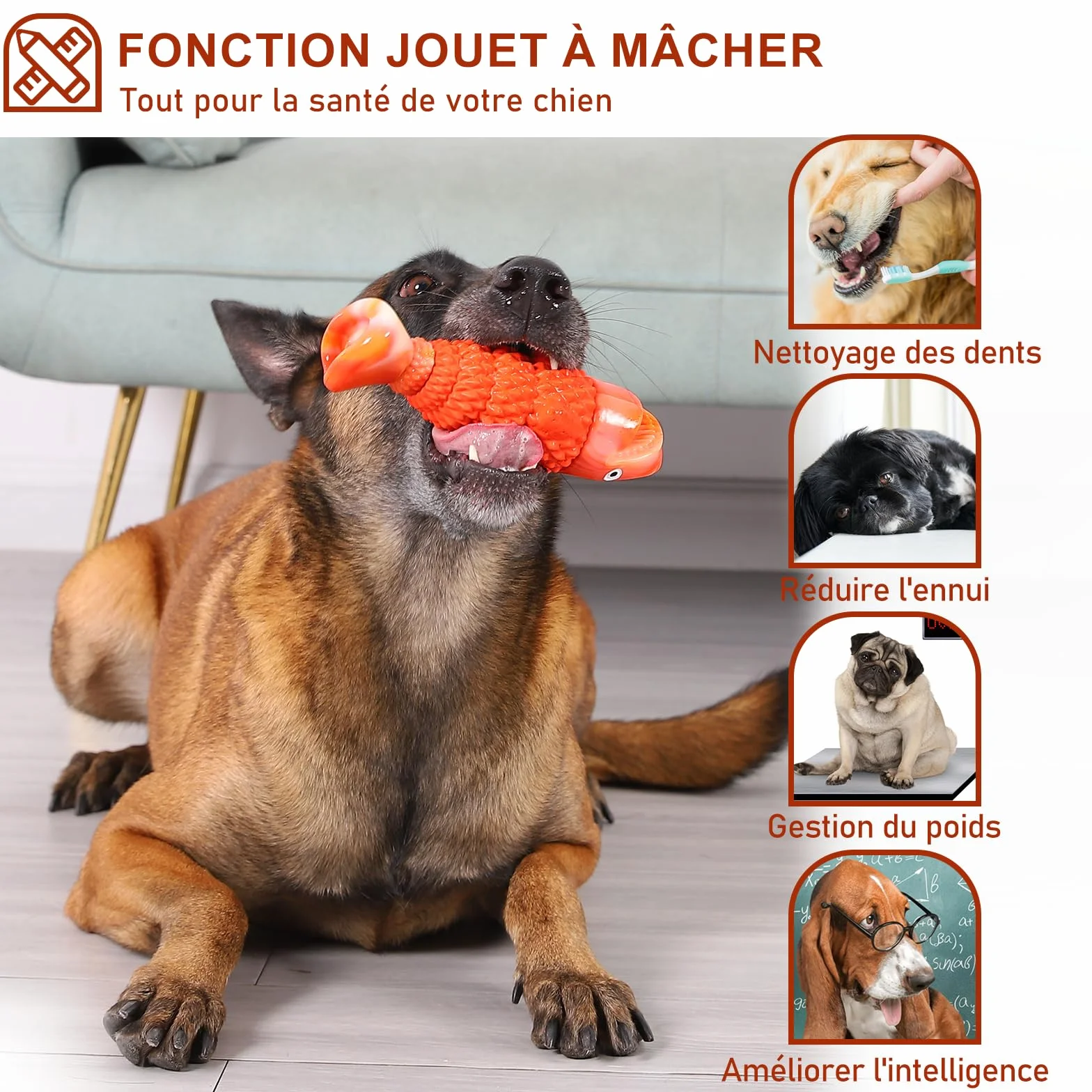WinTour Jouet Chien Indestructible pour Mâcheur Agressif, Jouet à Mâcher Durable avec Son Grinçant pour Moyenne et Grande Race