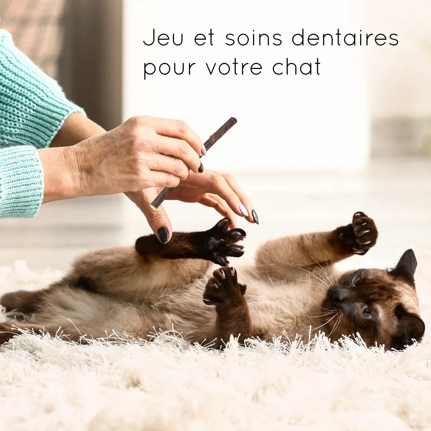 8 bâtonnets pour Chat I Soins dentaires pour Chat & Jouets à mâcher pour Chat I Produit Naturel à Base de matatabi bâtonnets pour Chat Herbe à Chat valériane bâtonnets pour Chat
