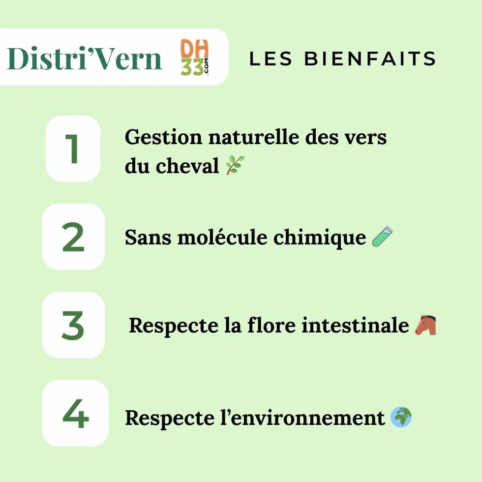 Vermifuge Naturel Cheval Pâte – Régulation Parasites Intestinaux, Flore Digestive – Formule Plantes Thym Ail Absinthe – Injecteur Oral – Fabriqué en France