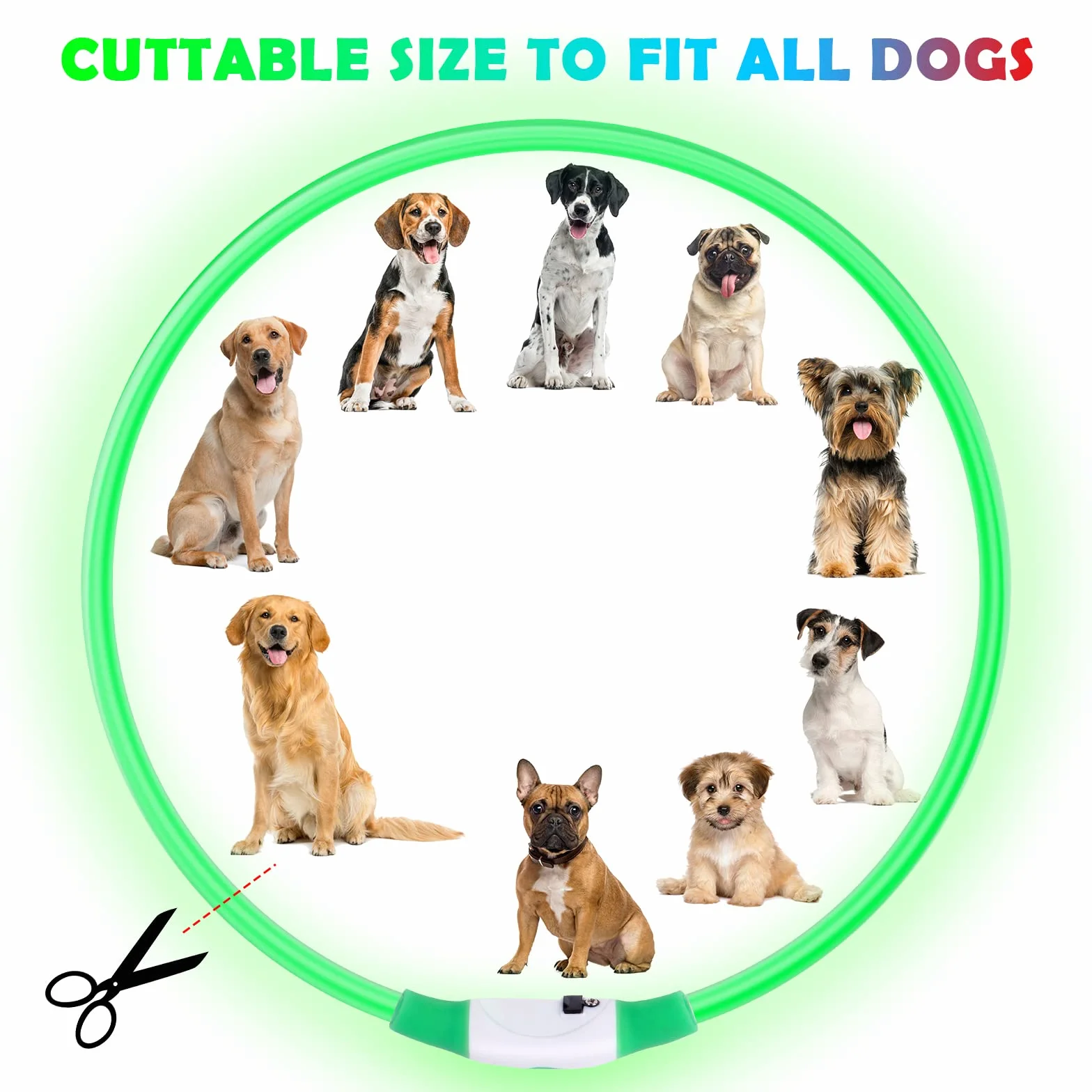 Collier lumineux à LED pour chien rechargeable USB longueur réglable étanche 3 modes vert