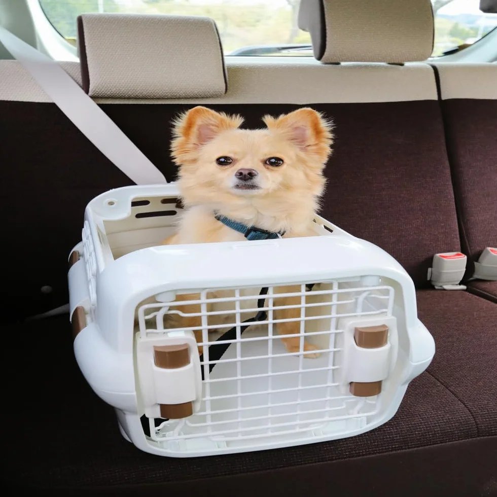 Iris Ohyama Caisse Transport Chat Plastique PP Deux Portes Grille Fermeture Sécurité Lanières 51.1x32.1x28.7 cm PDPC-500 Blanc