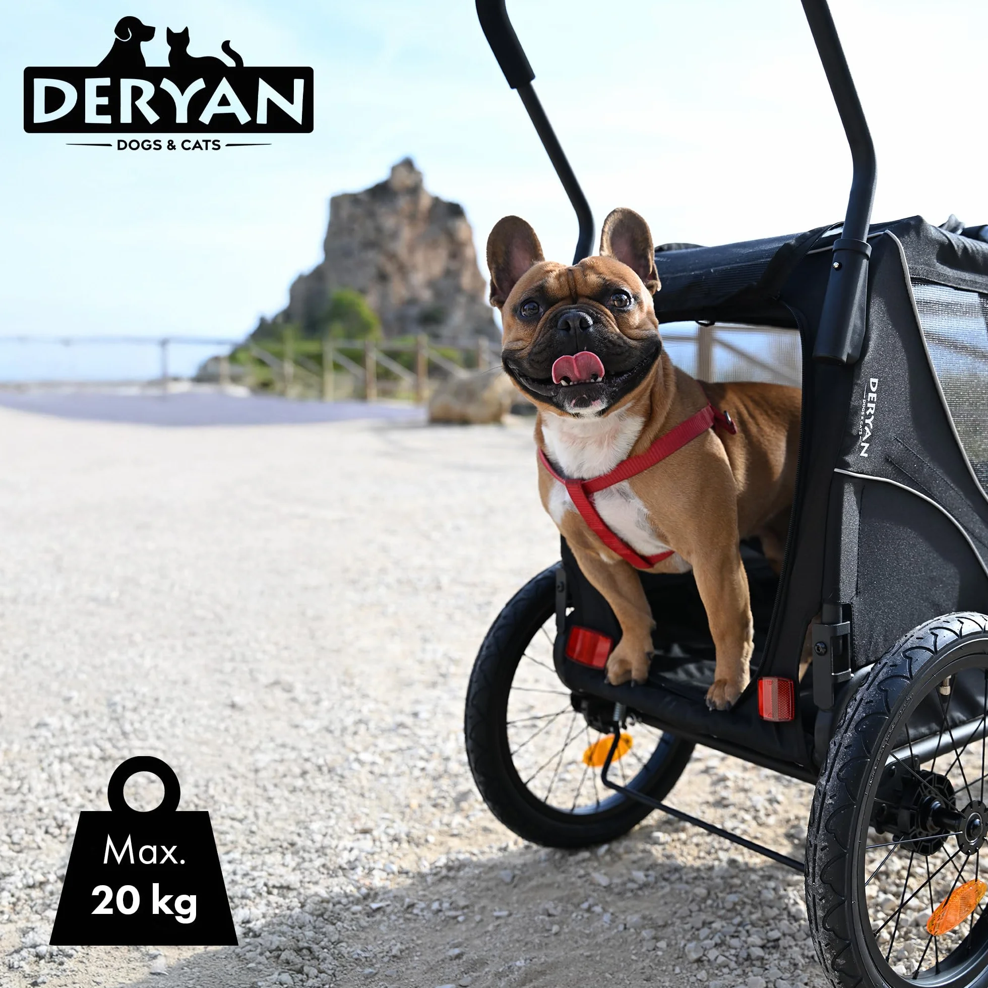 Deryan Remorque Velo Chien 3 en 1 Pliable avec Reflecteurs, Charge Maximale 20 kg, Noir