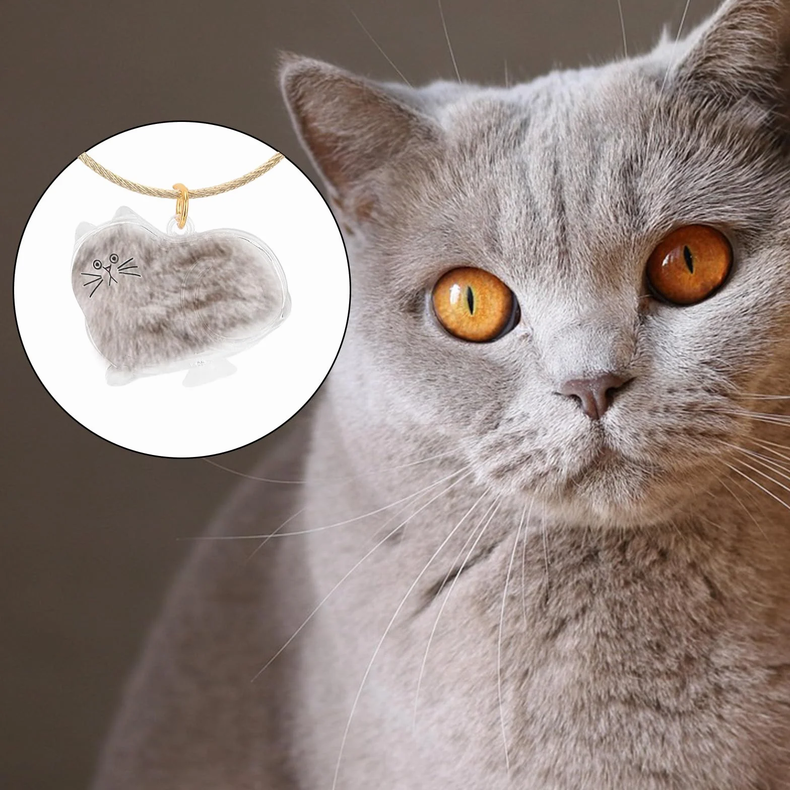 BOXOB Porte-Clés Collecteur de Poils de Chat, Bouteille Rangement Transparente avec Pendentif Doré