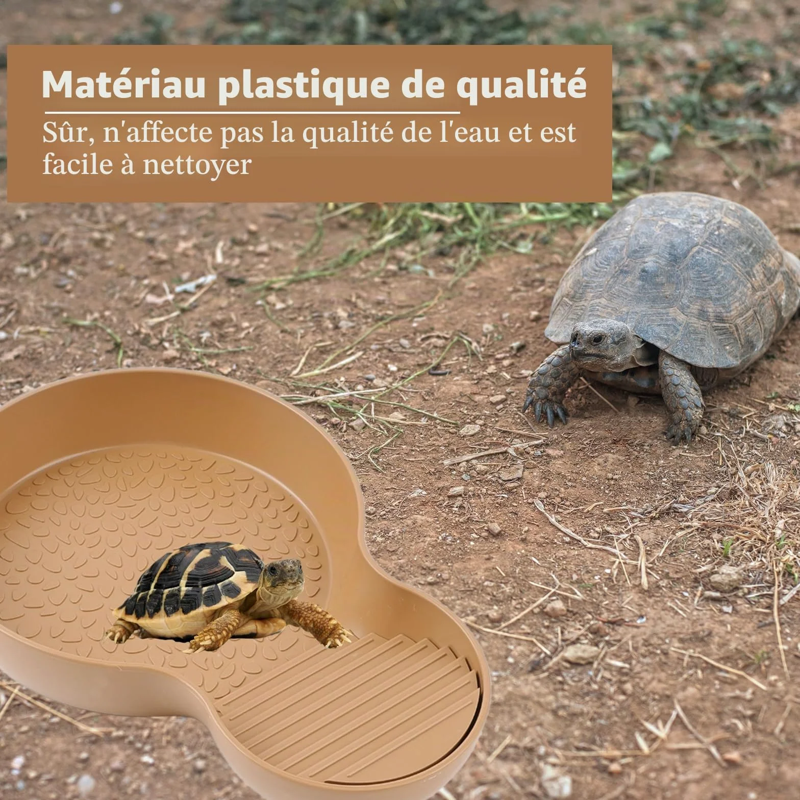 Abreuvoir Tortue Terrestre, Baignoire pour Reptiles avec Rampe, Bol à Eau pour Petites Tortues, Lézard, Amphibien et Autres Petits Reptiles (26,5 × 18 × 4,2 cm)