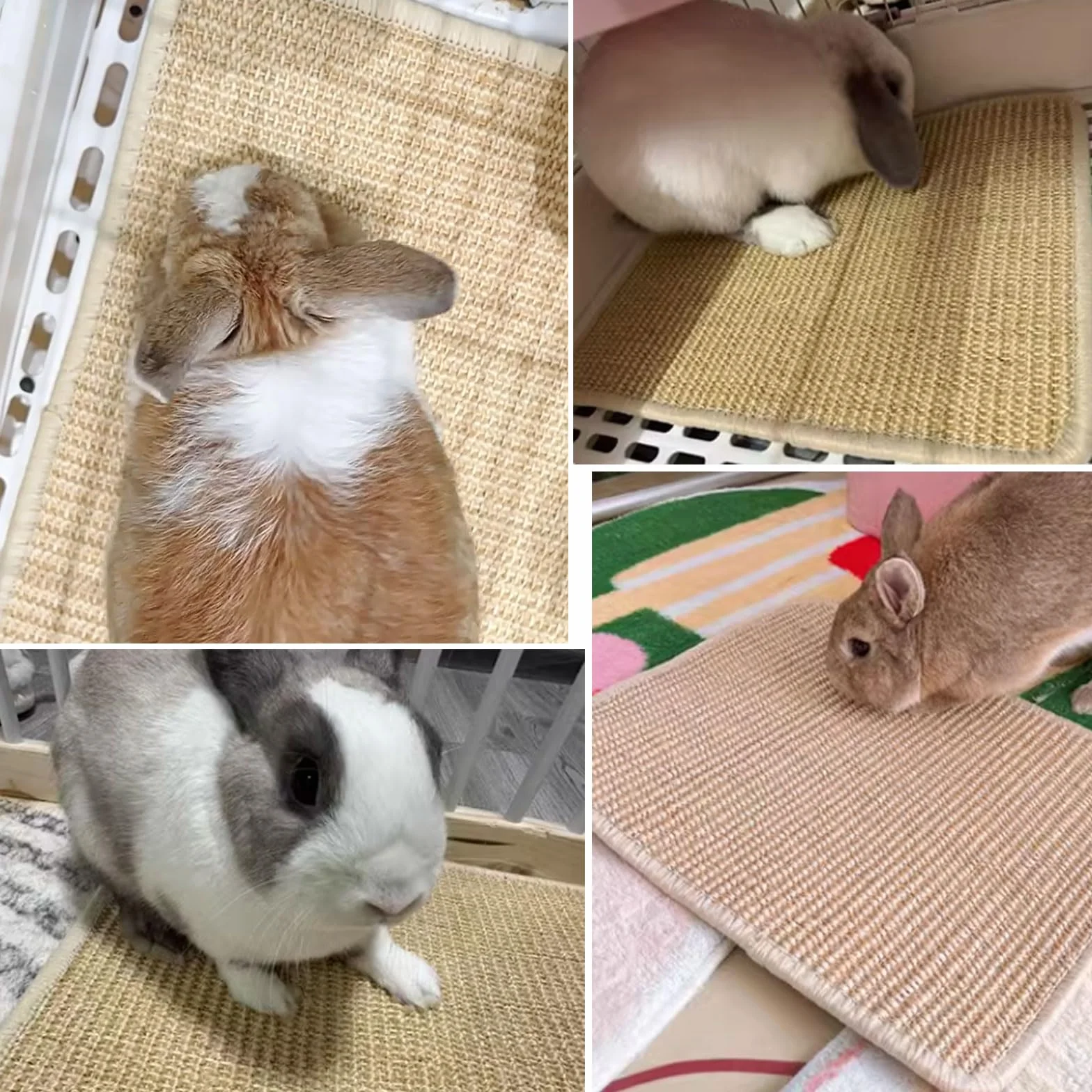 Tapis à gratter naturels pour lapin, soin des griffes, jouet à mâcher pour cage, lot de 2