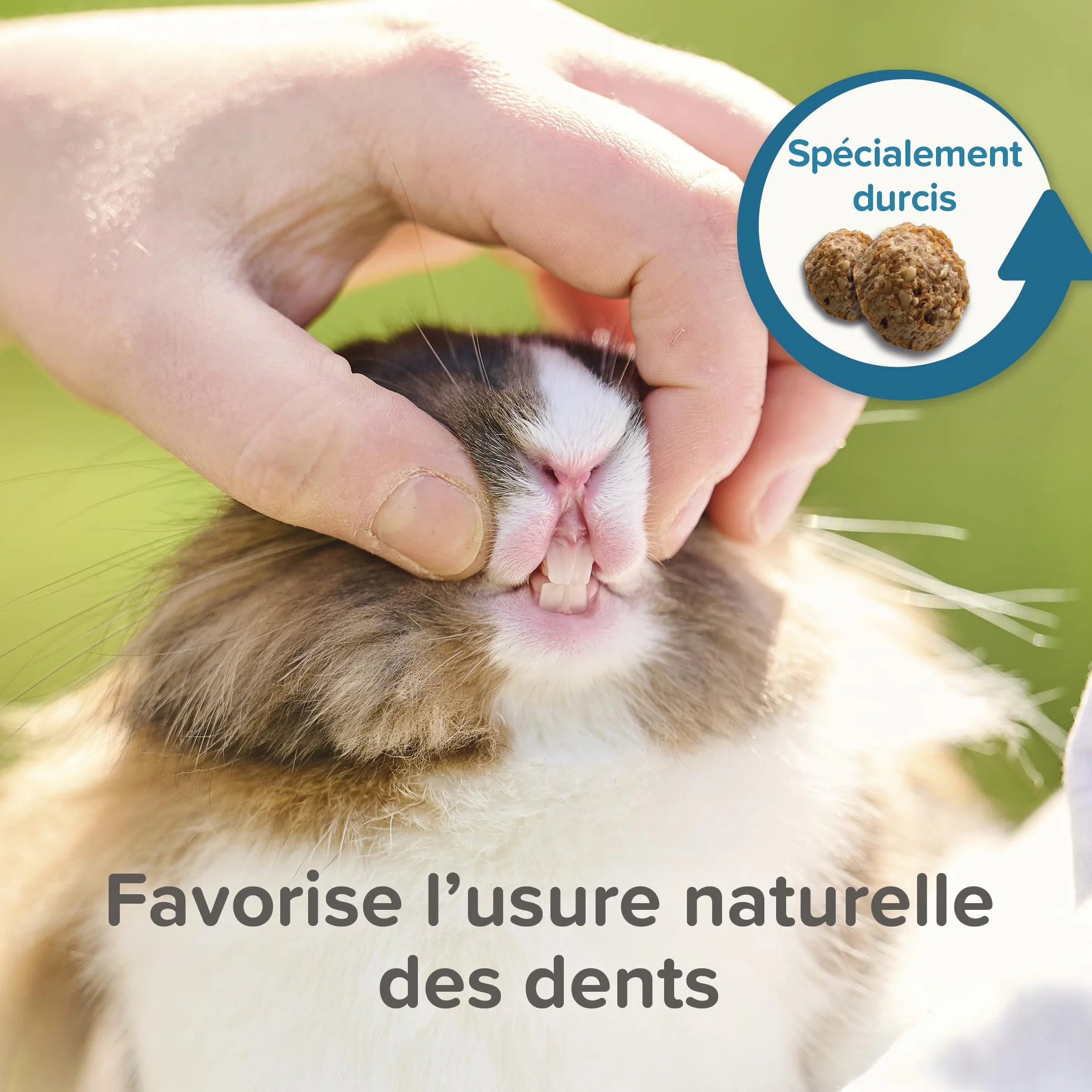 BEAPHAR Care+ Alimentation Super Premium extrudée pour Lapin 25% Fibres 1,5 kg