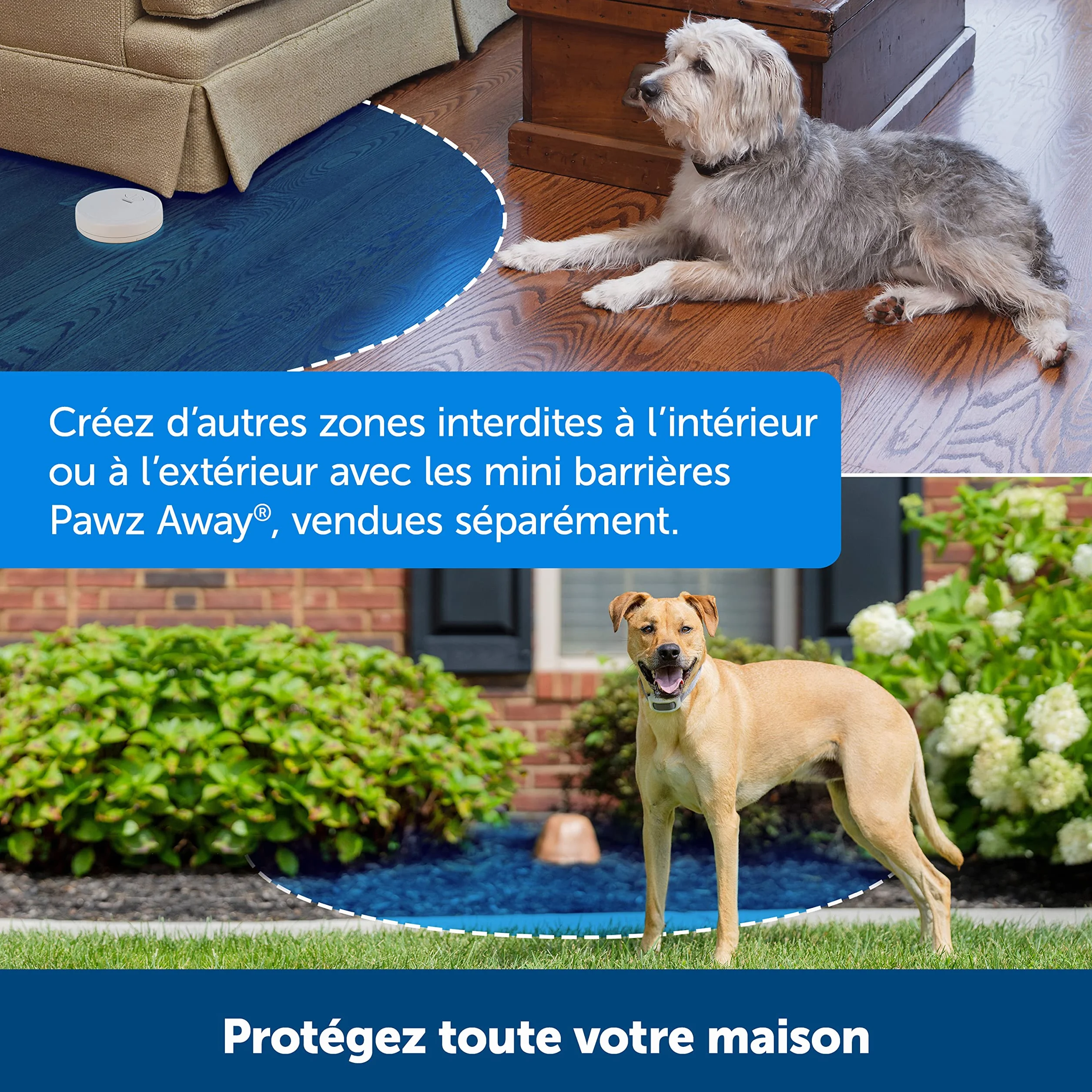 PetSafe Collier-récepteur Rechargeable pour clôture Anti-Fugue Classique avec Fil - 7 Niveaux de Stimulation réglables pour Chiens et Chats dès 2,3 kg