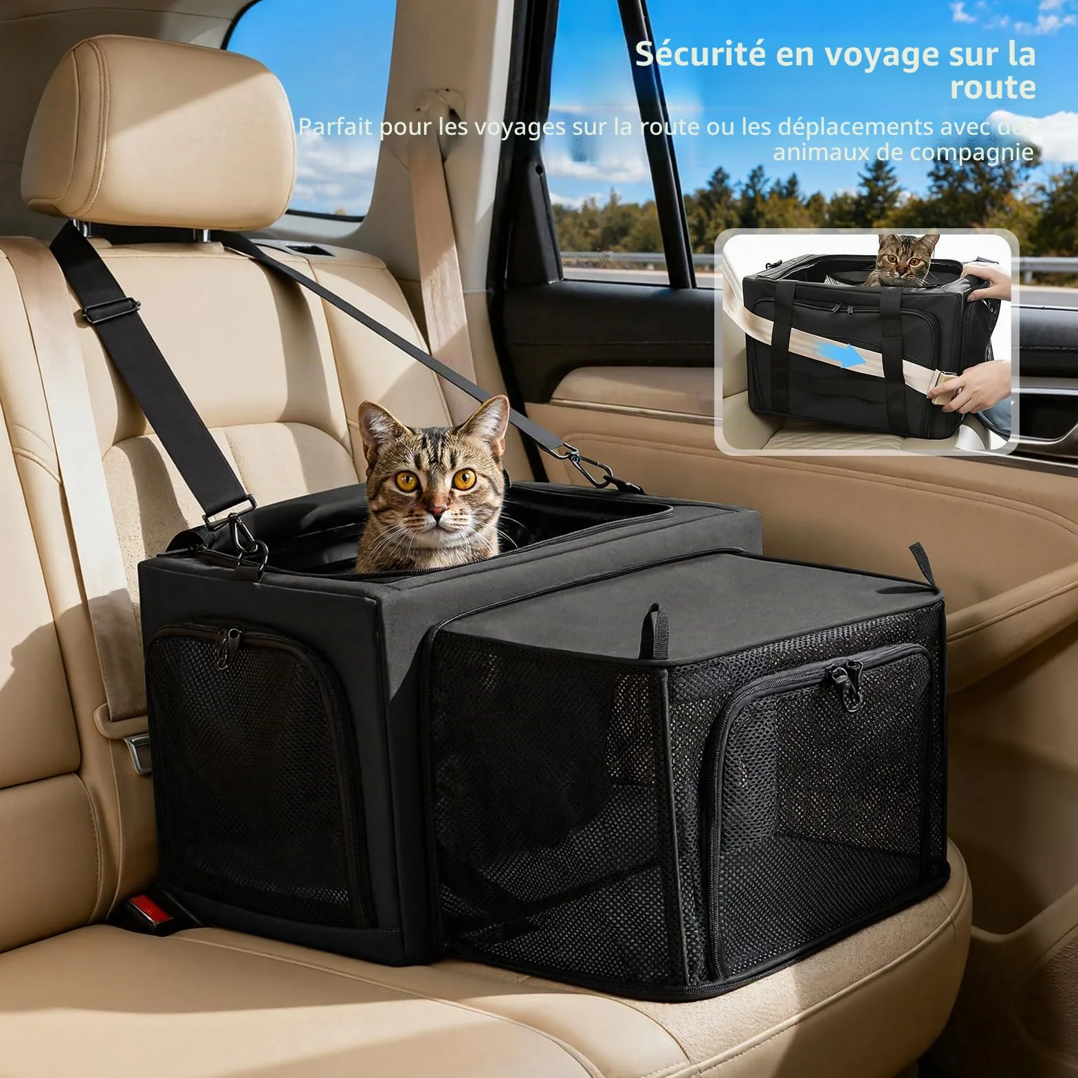 Pecute Sac de Transport Extensible Extra Stable en Maille Respirante pour Chat avec Zone Cachée, Gris Foncé