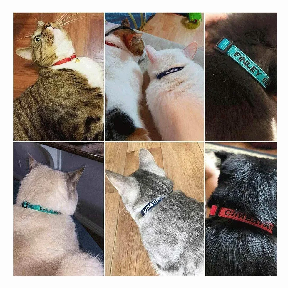 Collier de Chat personnalisé Breakaway avec Cloche, Boucle de sécurité, Nom brodé (Noir)