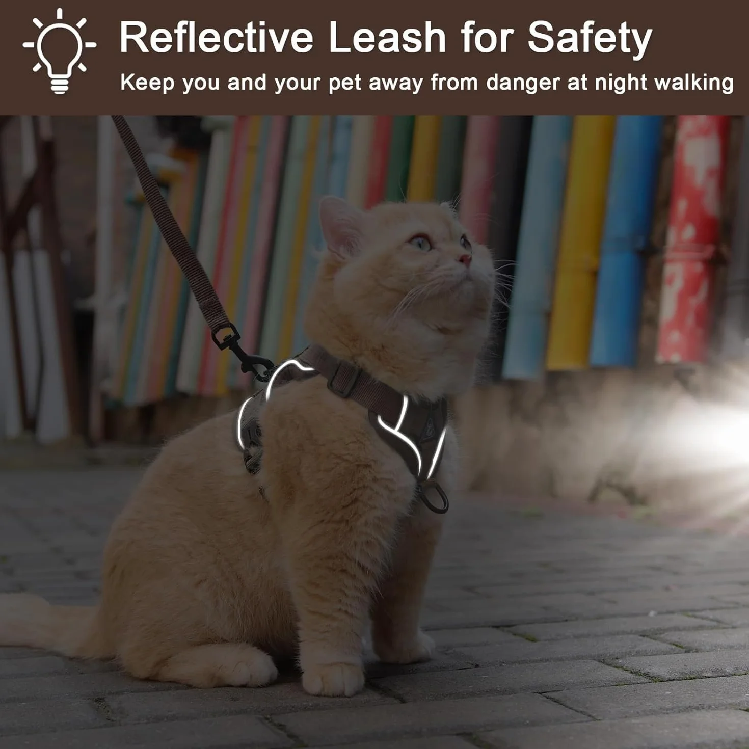 Harnais Chat avec Laisse Réglable Gilet de Sécurité Souple pour Chaton Chiot (L)