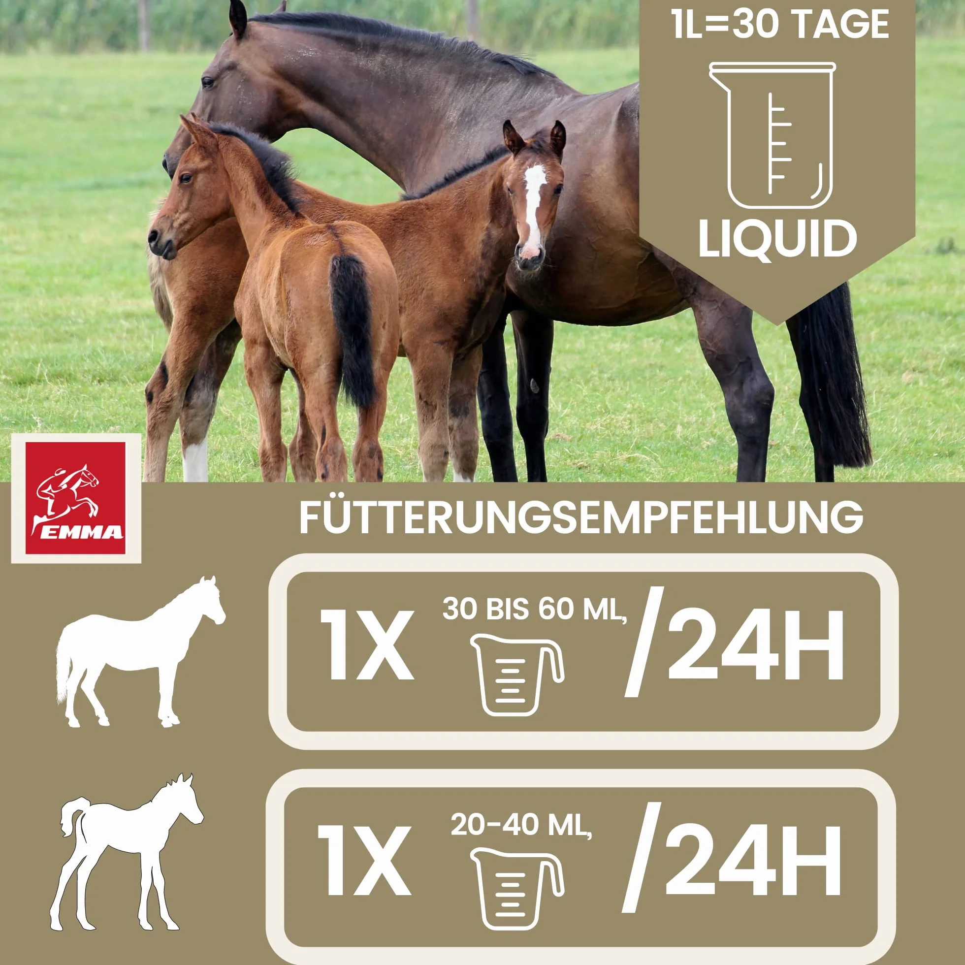 Levure de bière Cheval Gastro Liquide probiotiques pour Chevaux Pelage Peau Flore intestinale Digestion Vitamines Minéraux 1L
