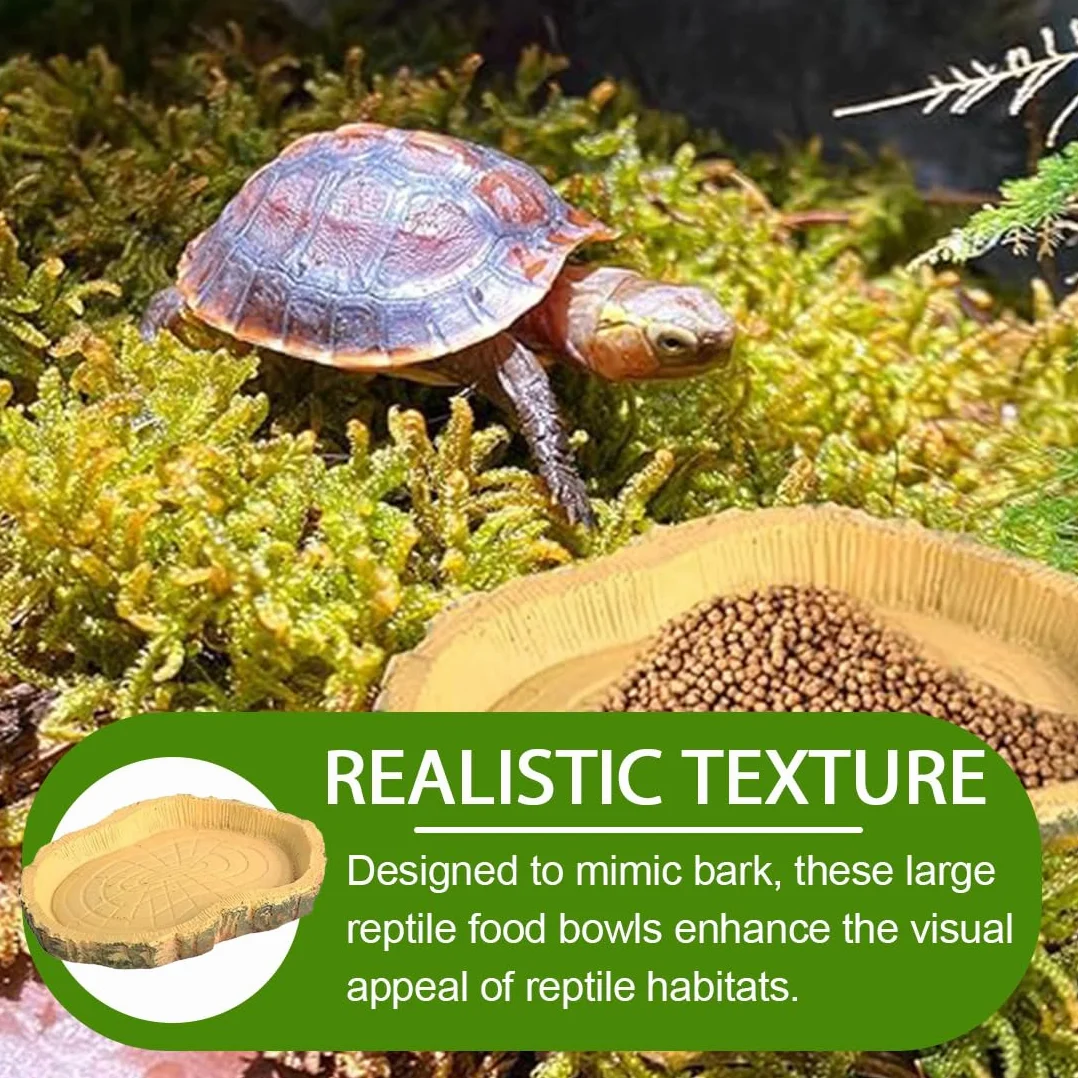 Bol d'Alimentation pour Reptiles 2 pièces Nourriture Tortue en Feuilles