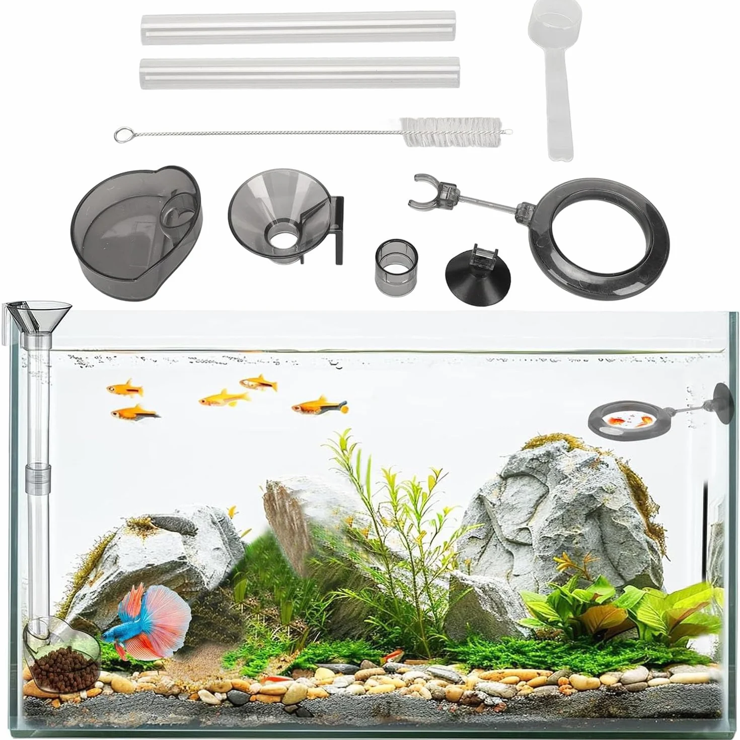 Aquarium Fish Feeder Tube Kit, Tube Alimentation Crevettes Acrylique, pour Aquarium Crevettes Cristal