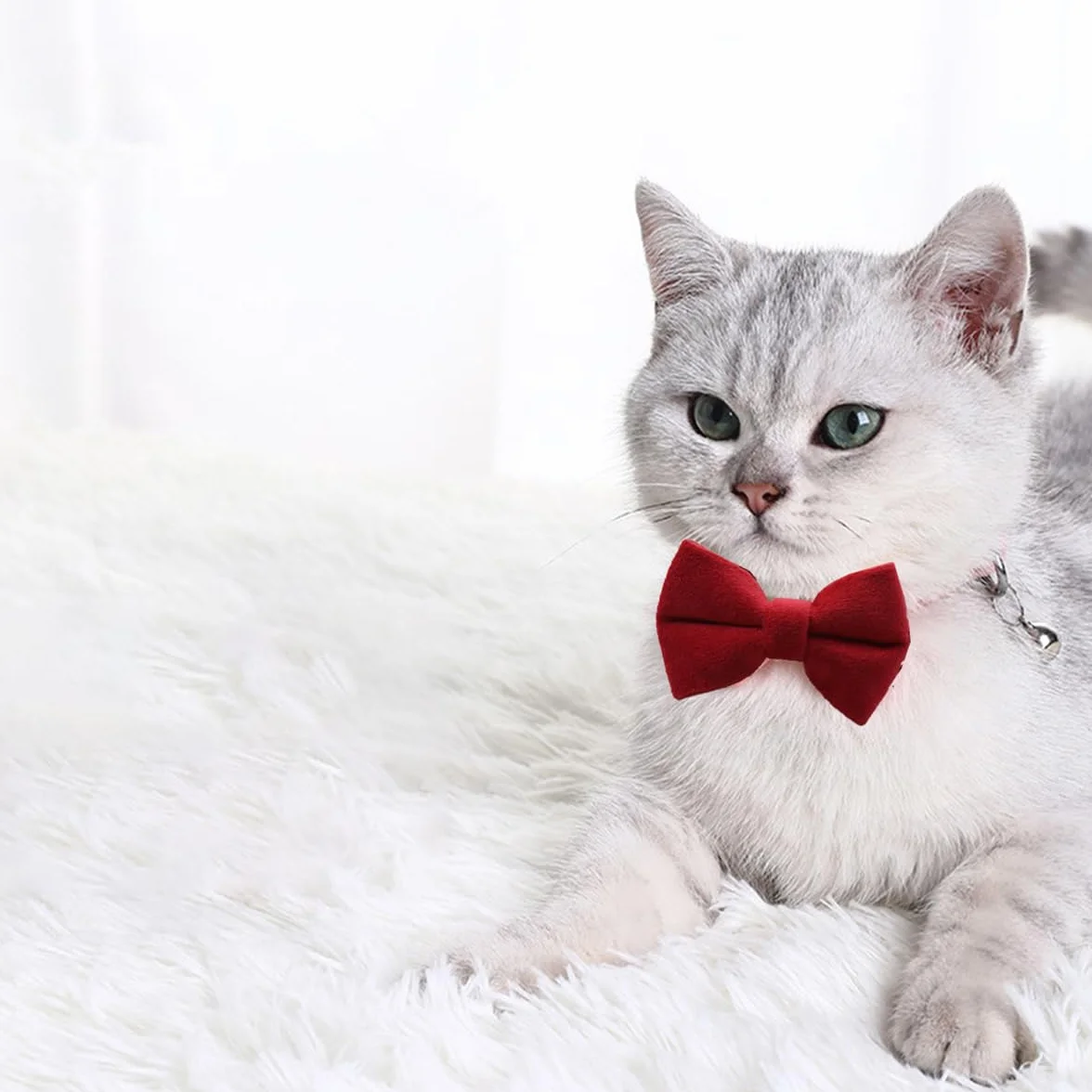 Colliers en Velours pour Chat avec Clochette et Nœud Papillon, LEEQ 2 Pièces Réglables pour Chat Chaton Petit Chiot
