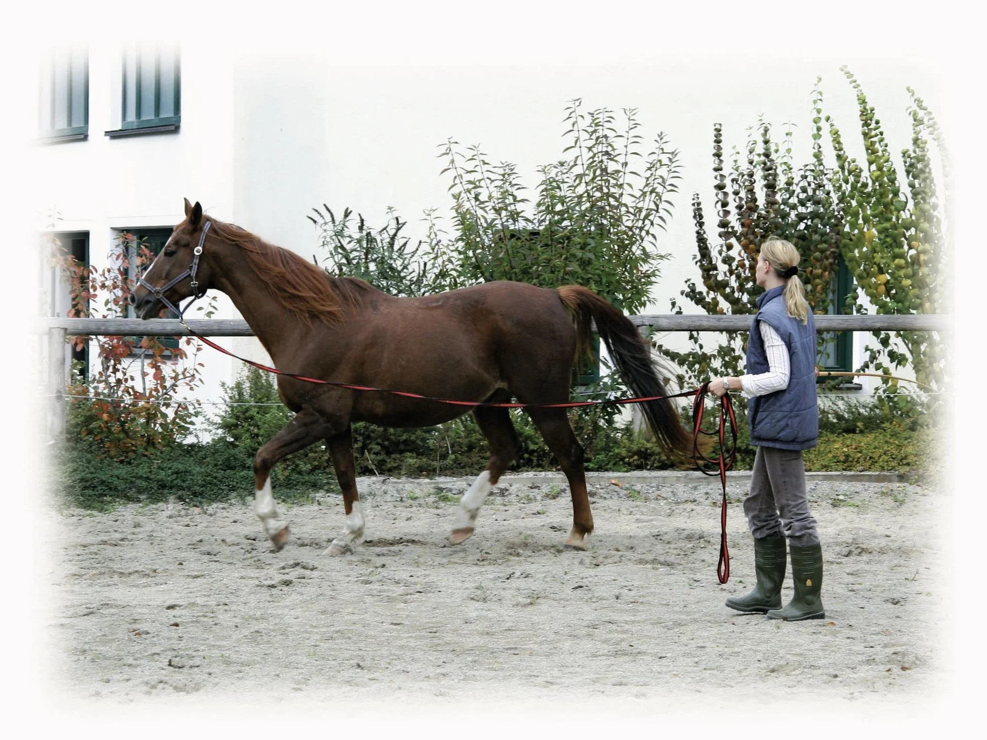 Kerbl Chevaux Longe de Travail Softlonge 8 m Noir/Rouge