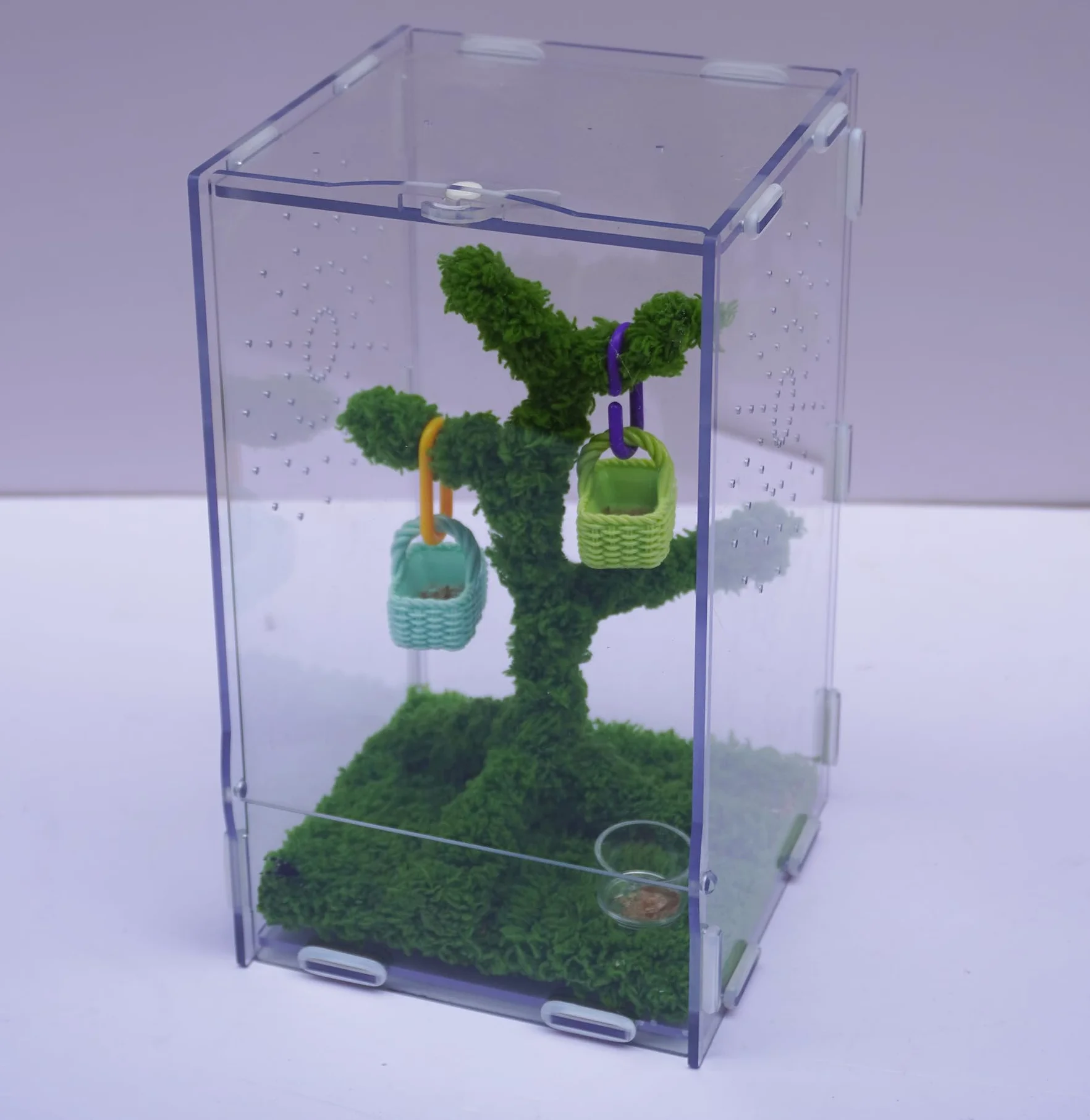 Kit Terrarium Araignées Sauteuses Acrylique Ventilé 22x13x12 cm avec Pince Nourriture et Décor