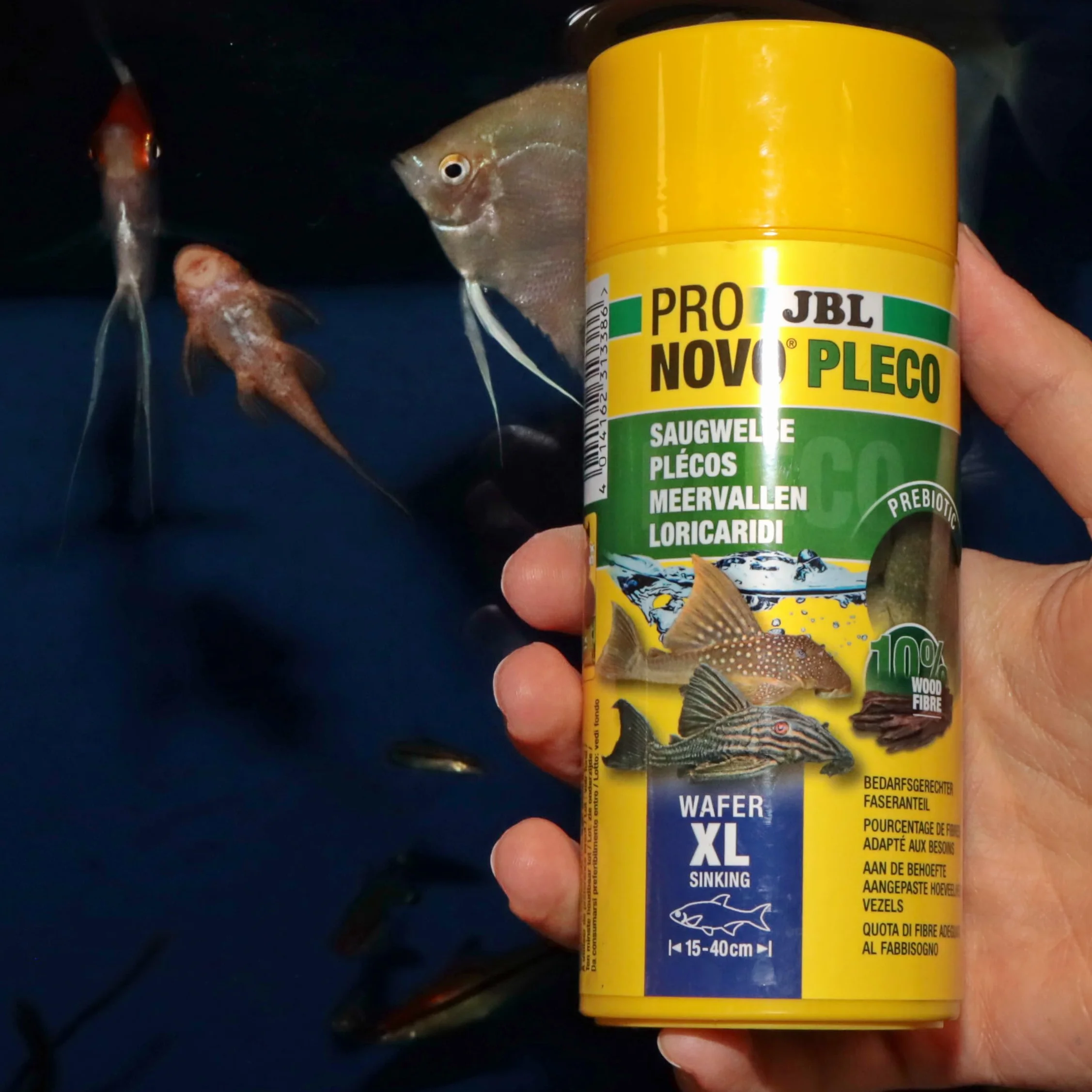 JBL PRONOVO PLECO WAFER Comprimés Alimentaires Bois pour Loricaridés Herbivores 1-20 cm Taille M 250 ml