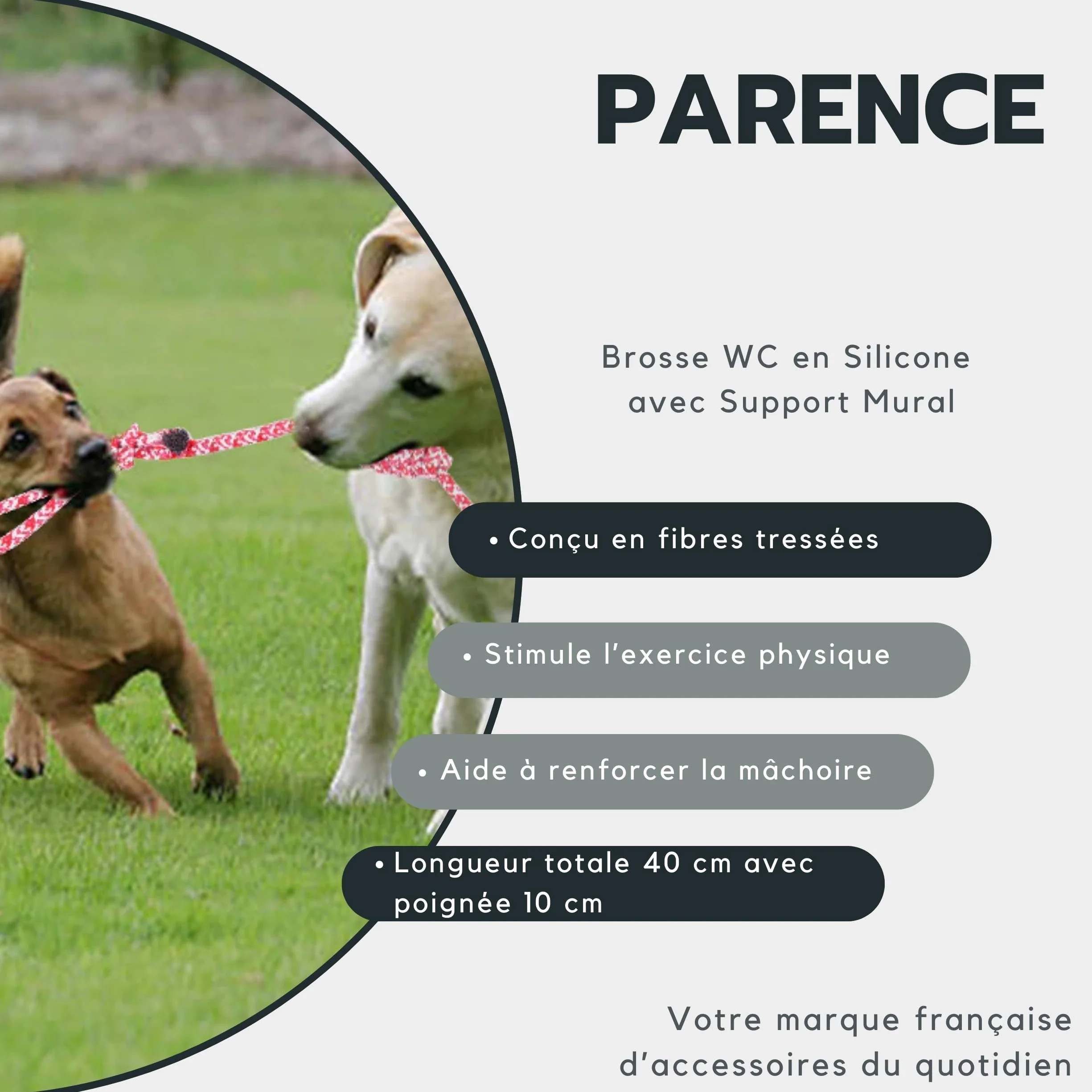 PARENCE Jouet Corde Tressée pour Chien 40 cm Ultra Résistant Poignée 10 cm
