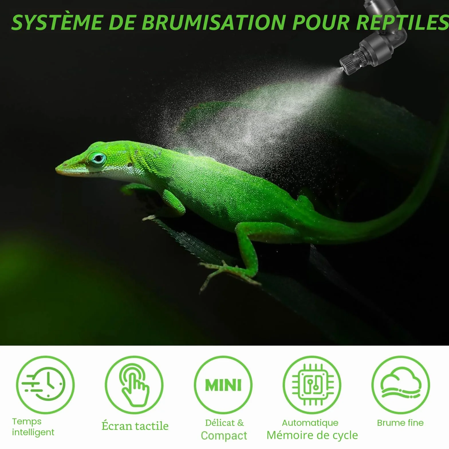 Brumisateur Terrarium avec Minuterie et Arroseur 360° pour Amphibiens Reptiles