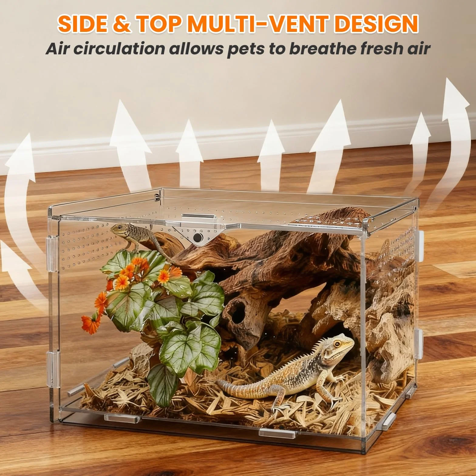 Terrarium Acrylique pour Escargots 20 x 12 x 12 cm Transparent avec Trous d'Aération