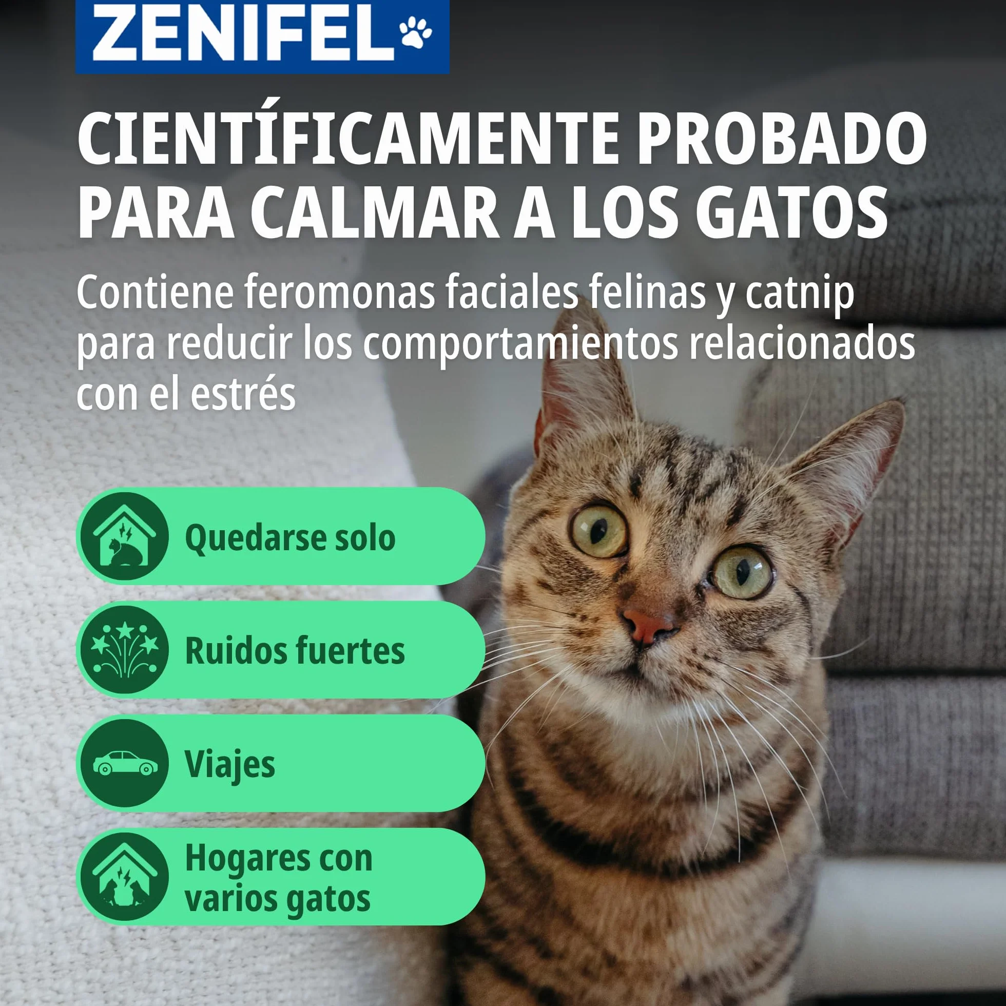 Virbac Zenifel Spray Apaisant Chat 60ml - Spray à Base de Phéromones Apaisantes et Herbe à Chat
