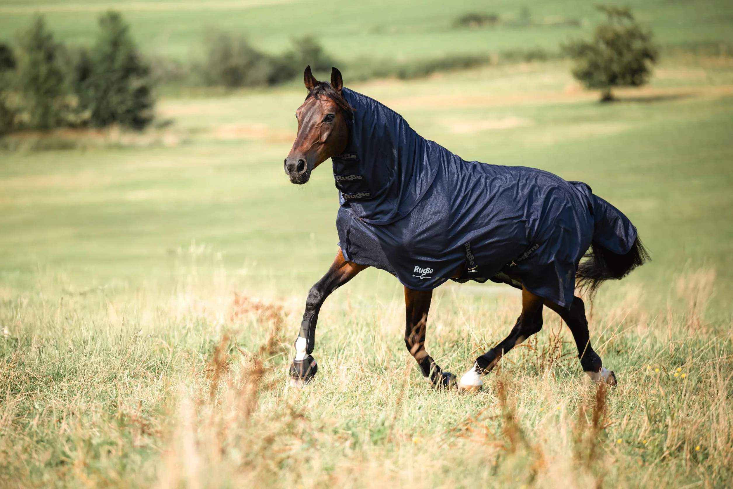 Covalliero Couverture Anti-Mouches RugBe Superfly 155 cm 205 cm Cheval