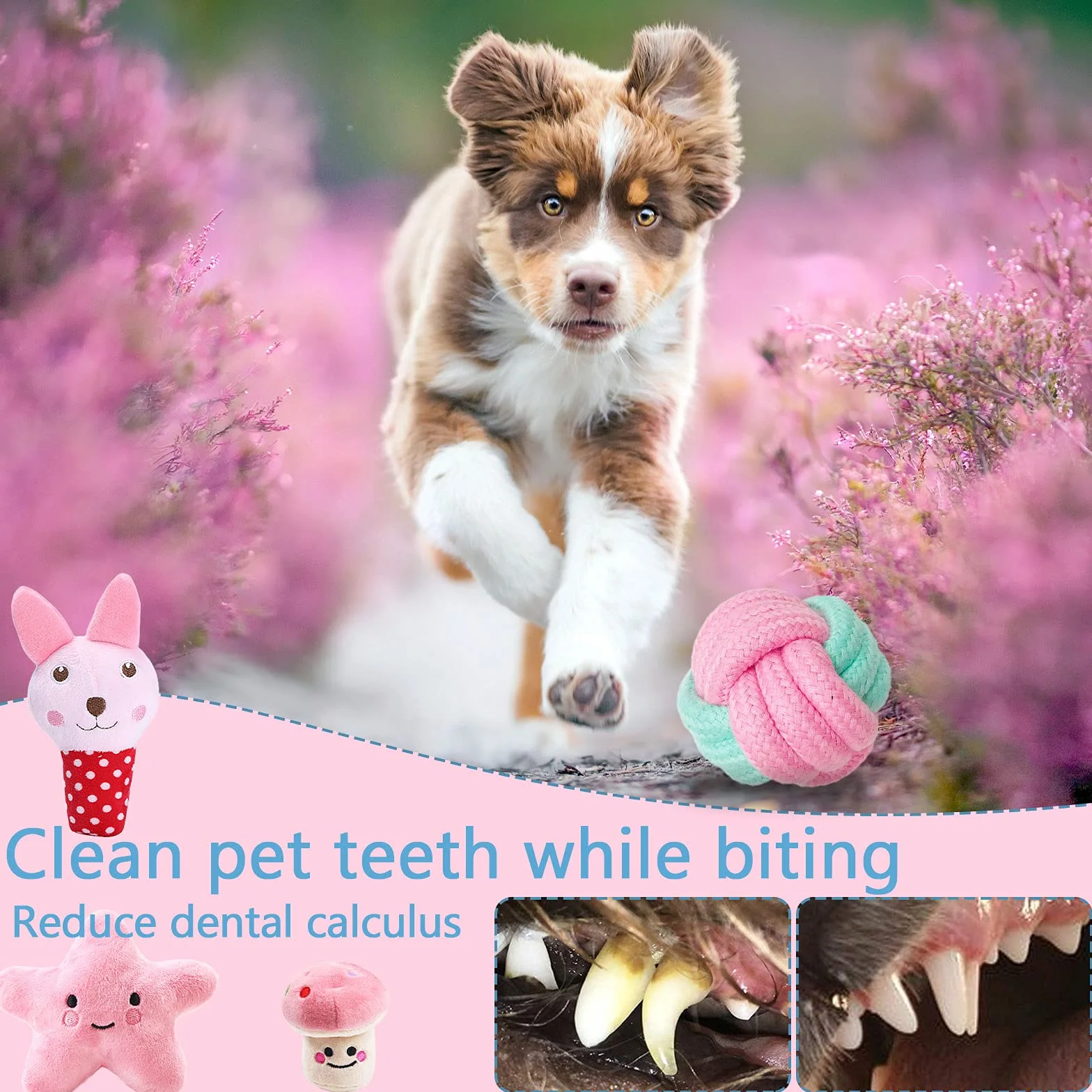 Jouets pour Chien durables Corde à Mâcher Indestructible Coton Naturel Non Toxique pour Petit et Moyen Chien (Rose)