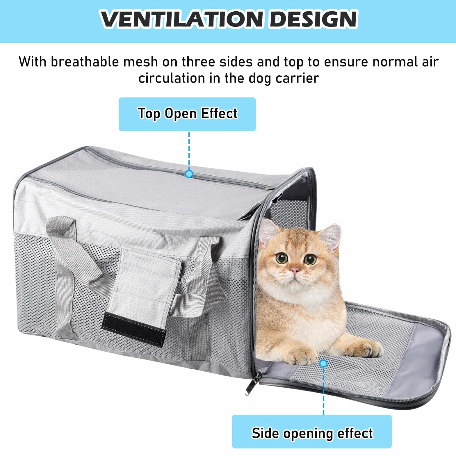 Vegena Sac Transport Chat Chien Caisse Pliable 42 x 27 x 28 cm