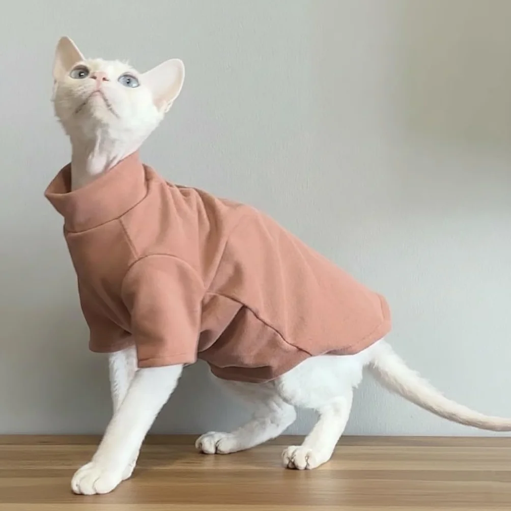 Pull Halloween pour chats sans poils Sphynx Devon Rex vêtements chauds automne hiver costumes chat