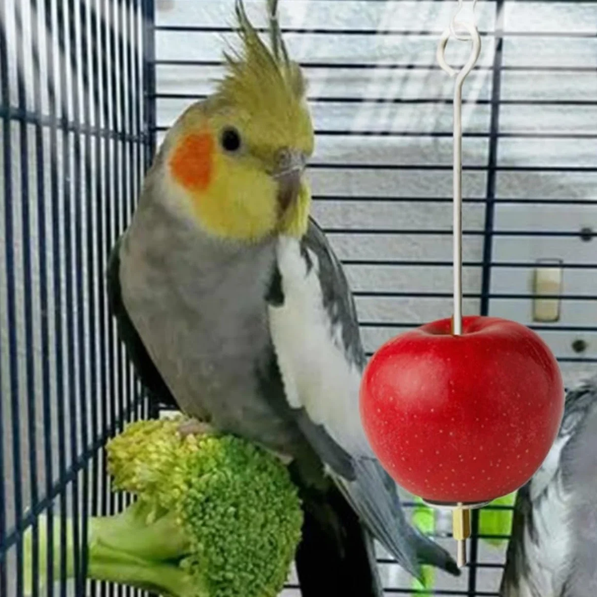 Mangeoire pour Perroquets en Acier Inoxydable 17cm 22cm Porte-Fruits et Légumes Suspendu pour Cage Oiseaux Jouet Perruche