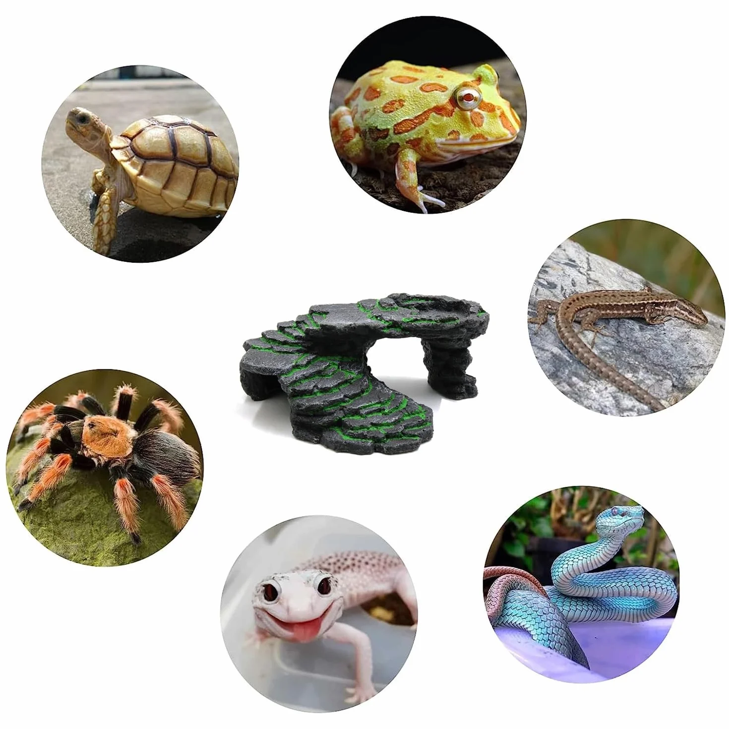 Cachette Reptile Plate-Forme pour Tortue Rocher Grotte Gécko Habitat Décoration de Terrarium Basking Ornement d'aquarium