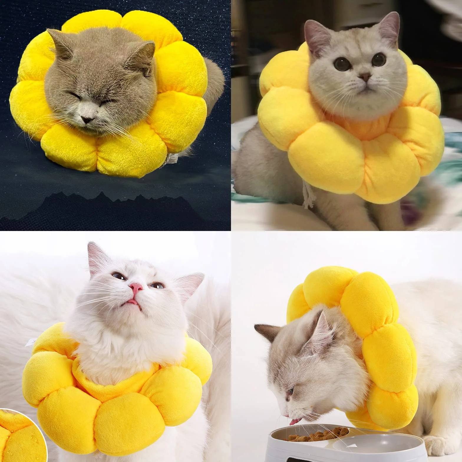 Collerettes pour Chat Chiens Doux Confortable Ajustable Anti-Morsure Protection
