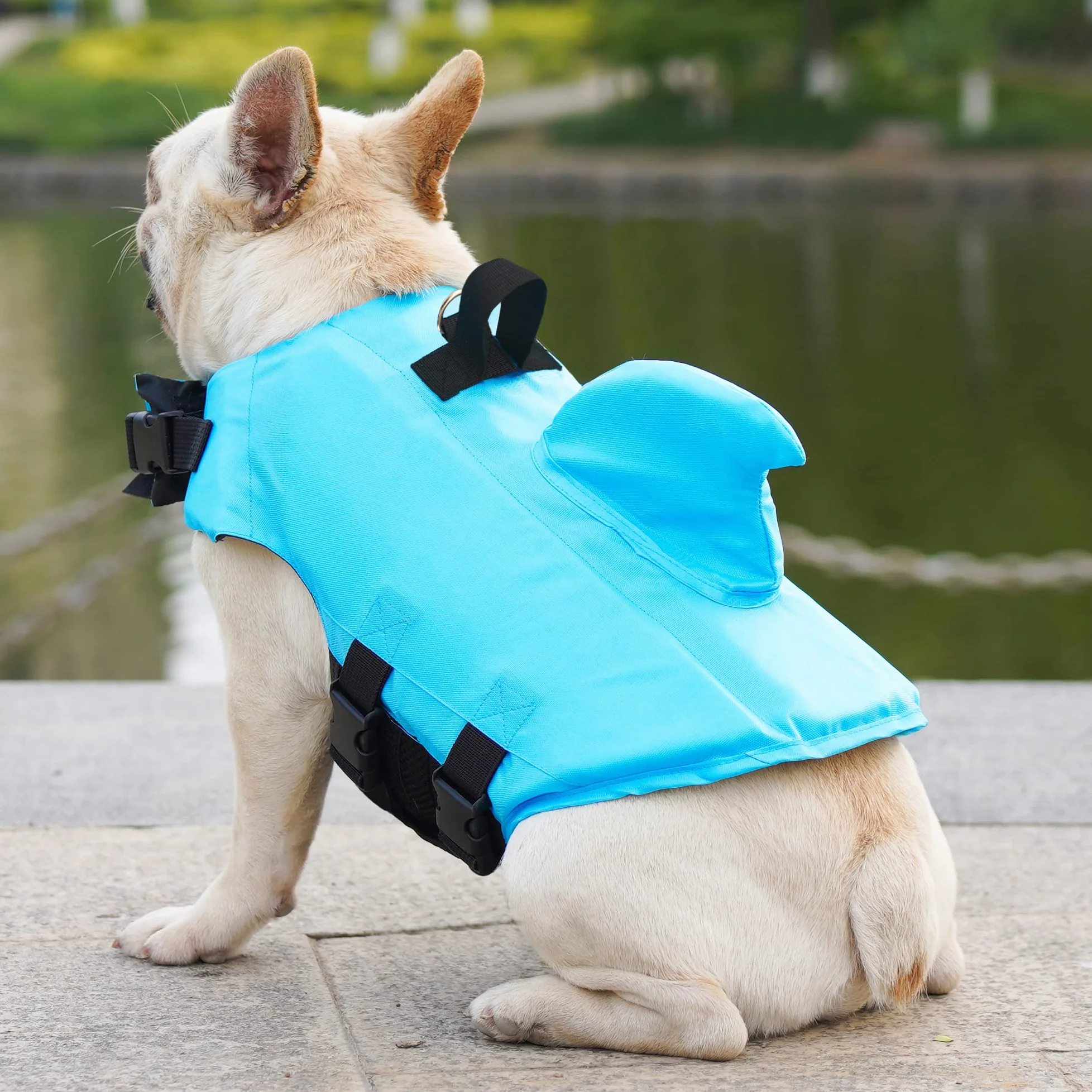 Gilet de Sauvetage pour Chien Bouée de Natation Chiot Sécurité Piscine XS Bleu