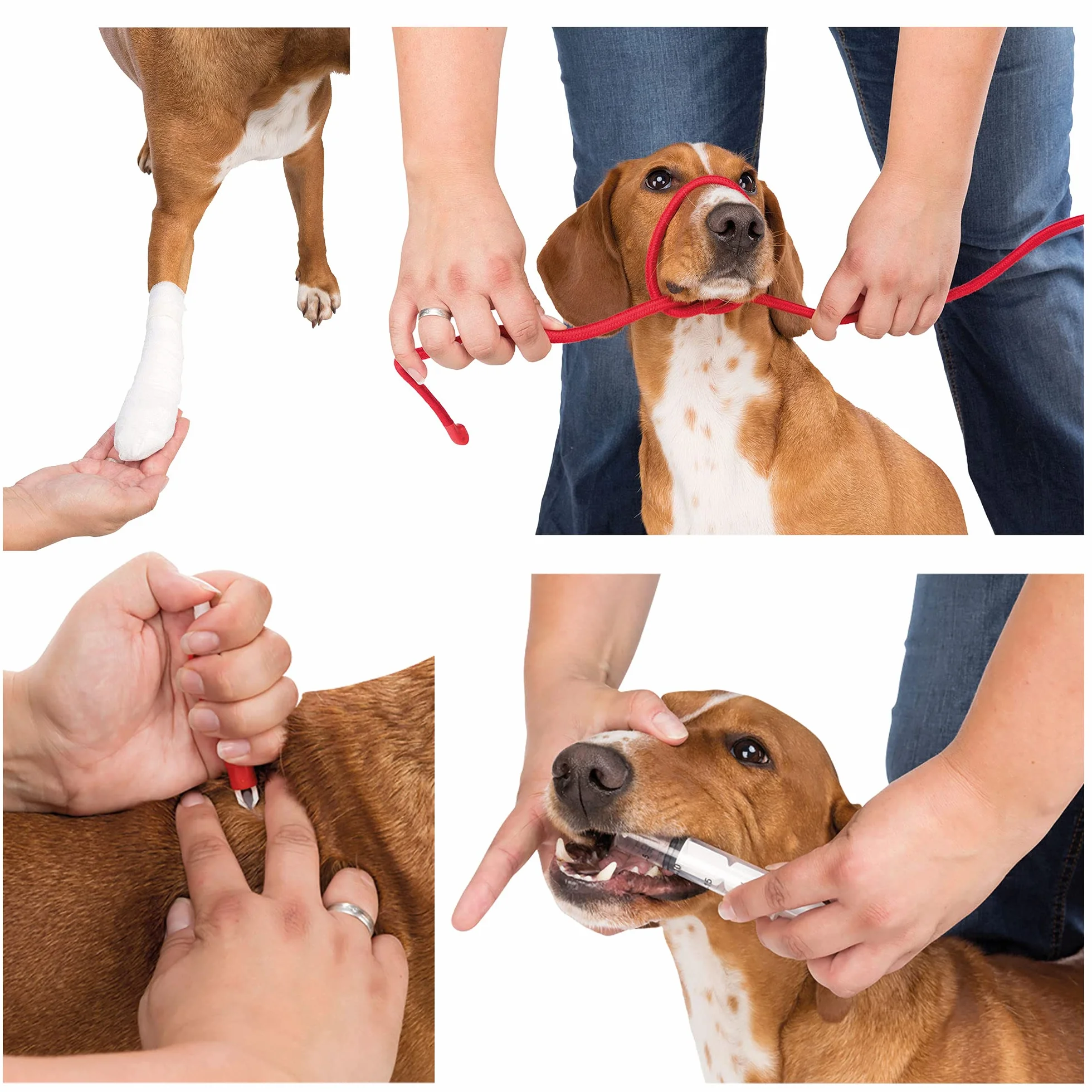 Trixie Set de Premier Secours pour Chien et Chat, 1 Unité