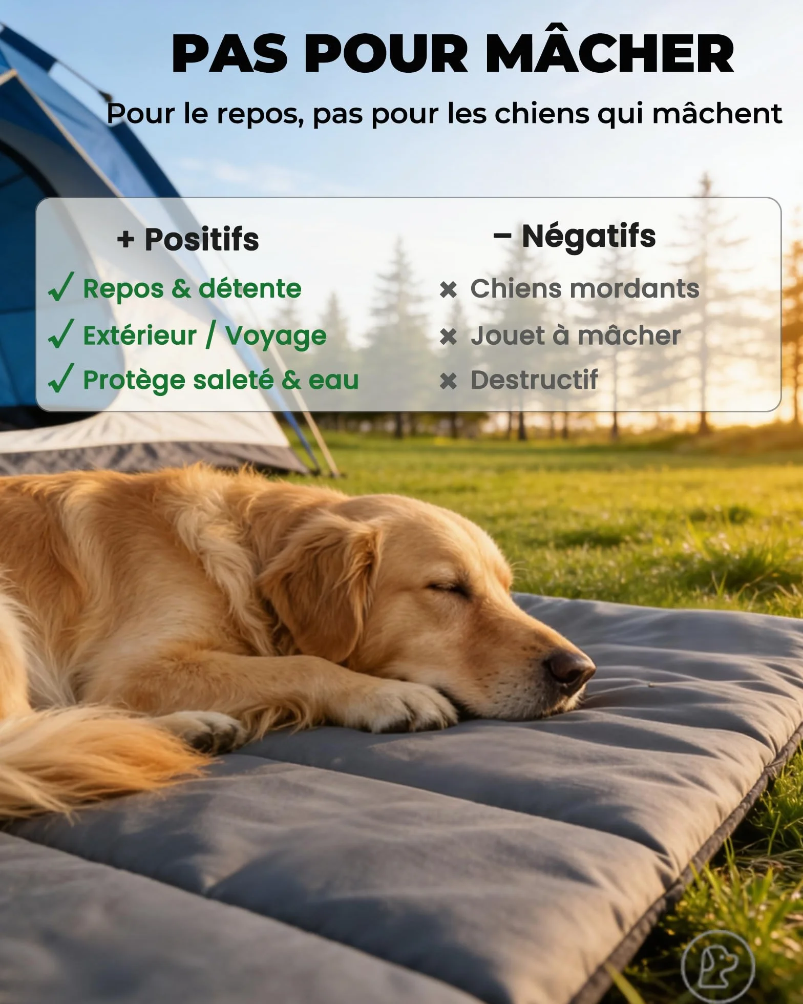 Tapis pour Chien Imperméable Antidérapant Lavable 110×68 cm Coussin Confortable pour Maison Extérieur Camping
